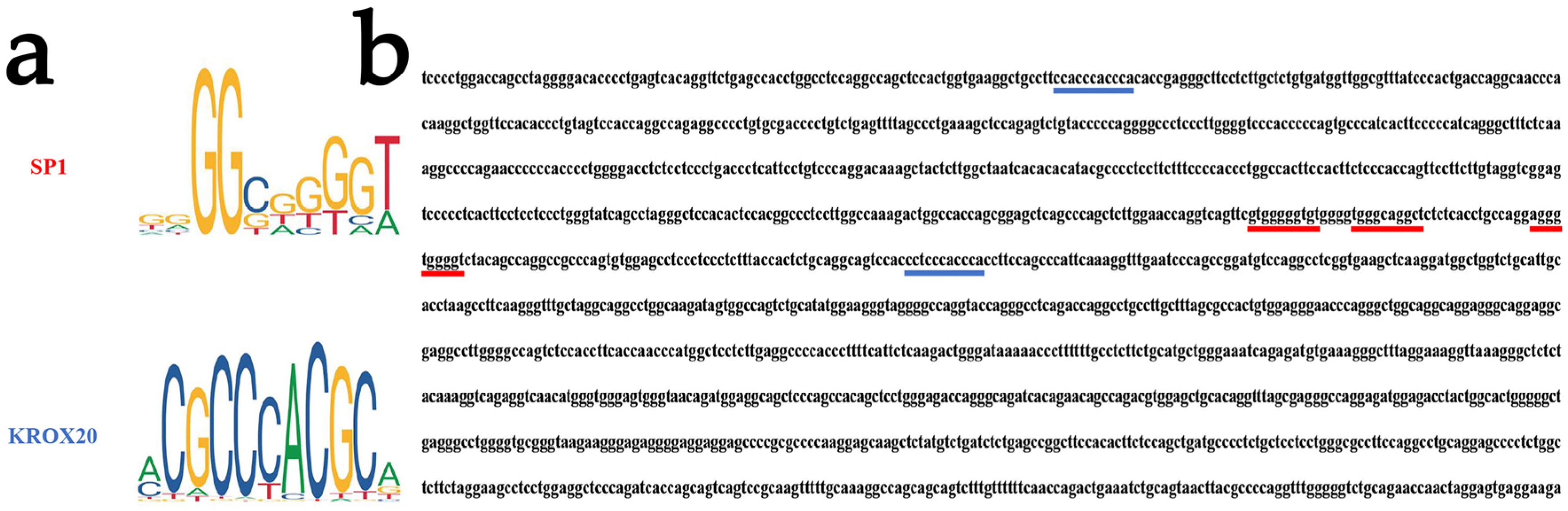 Animals 14 00429 g002