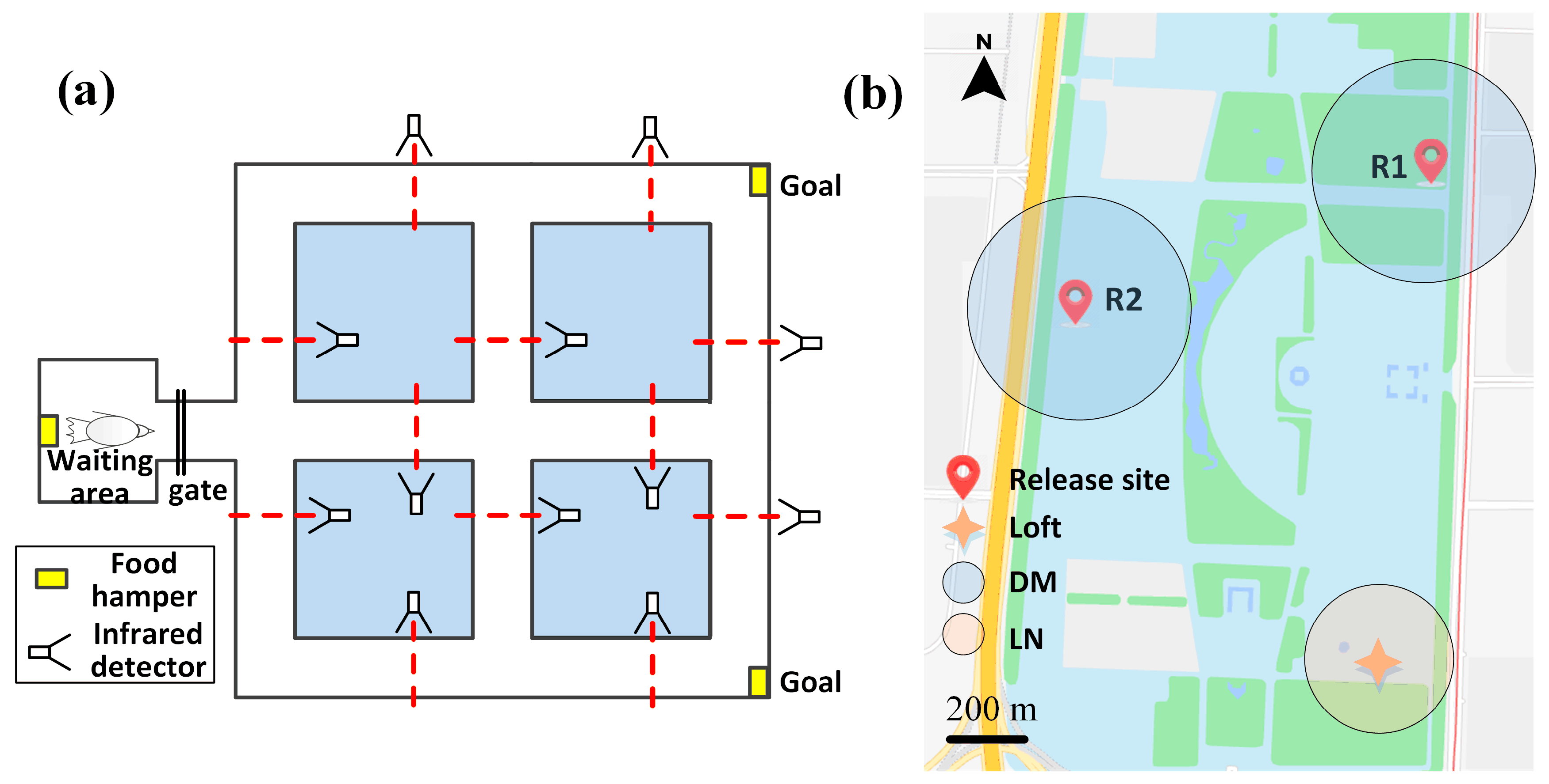 Animals 14 00439 g002