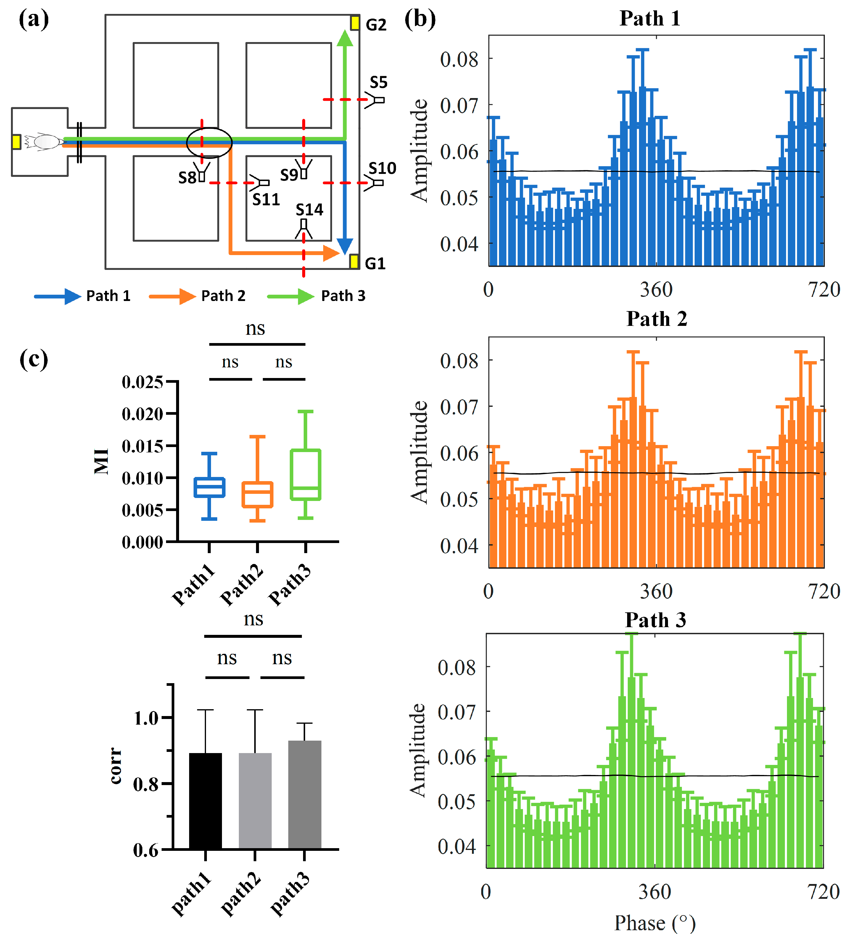 Animals 14 00439 g005