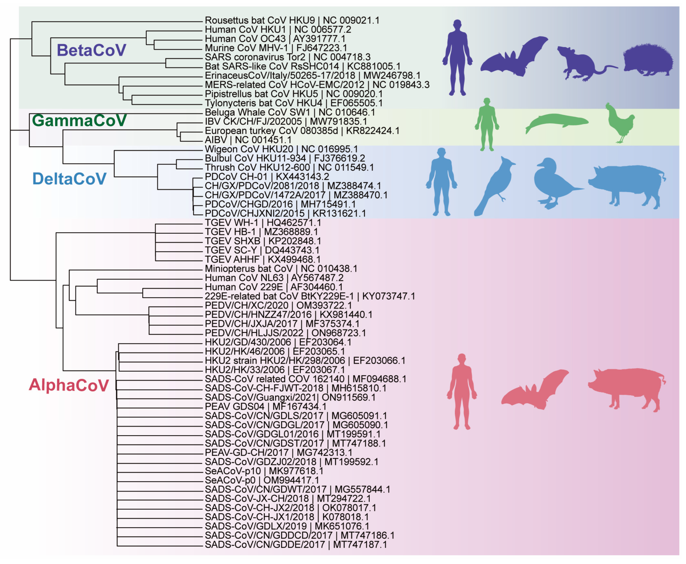 Animals 14 00448 g002