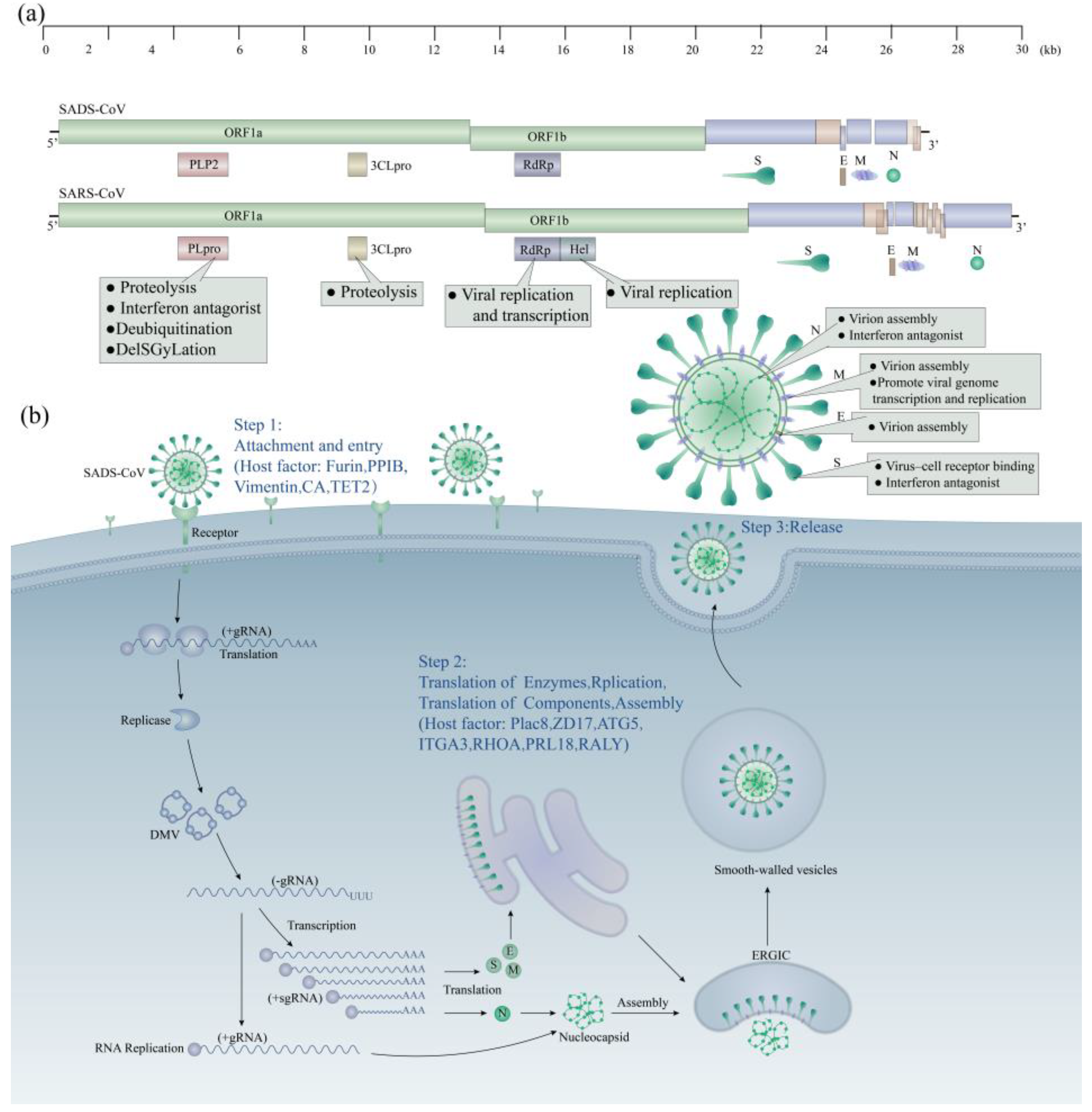Animals 14 00448 g003