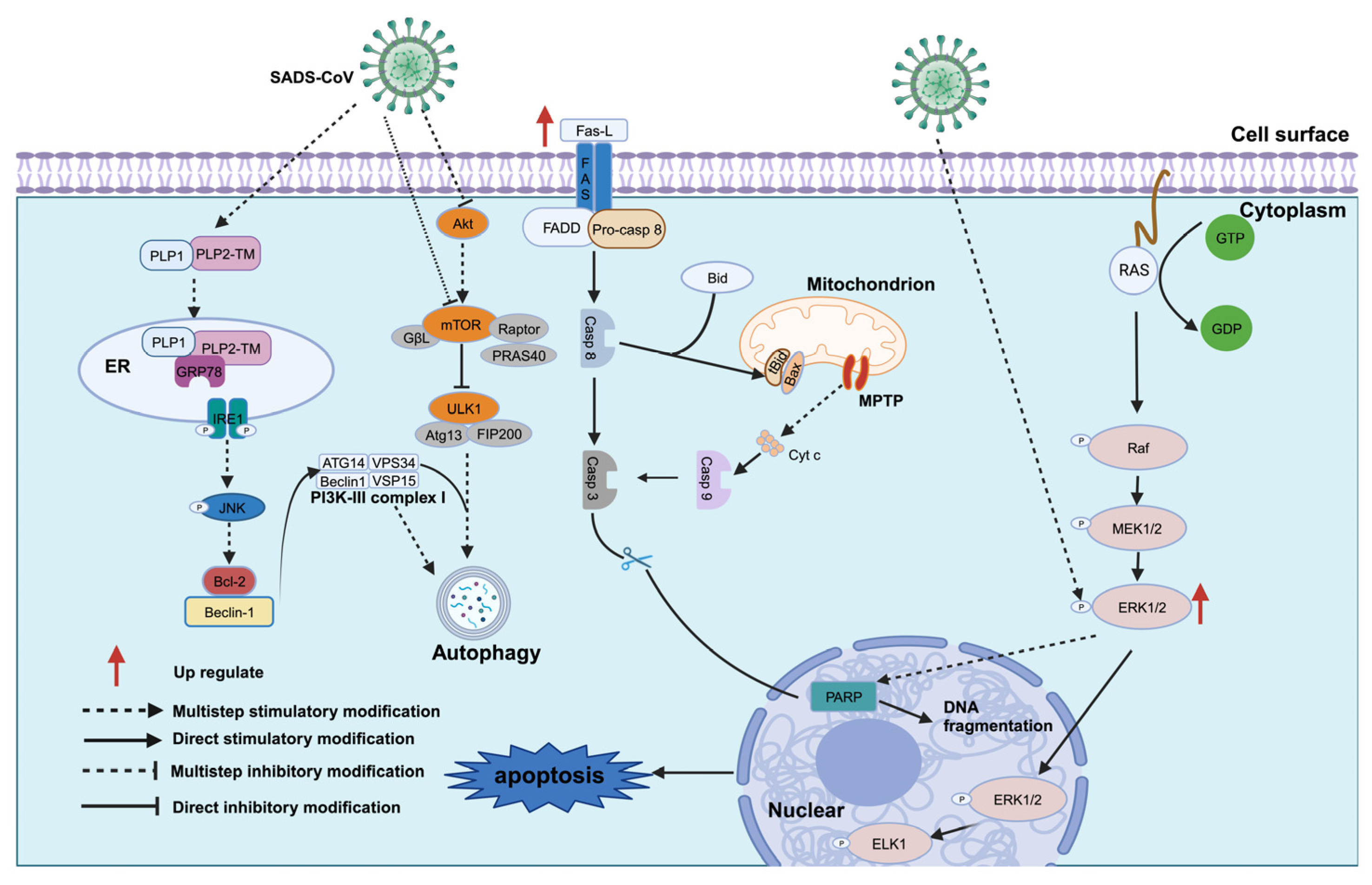 Animals 14 00448 g005