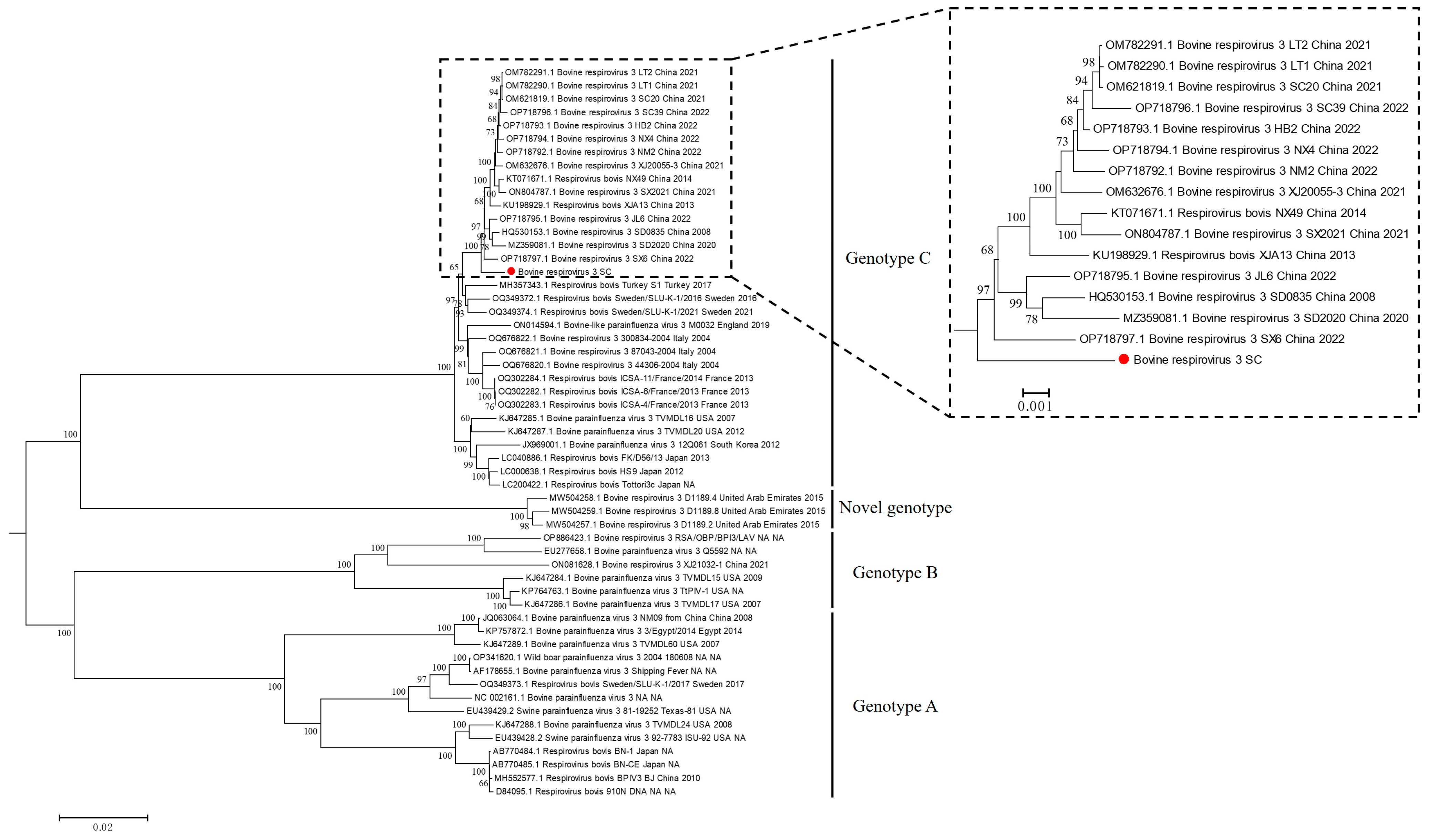 Animals 14 00463 g007