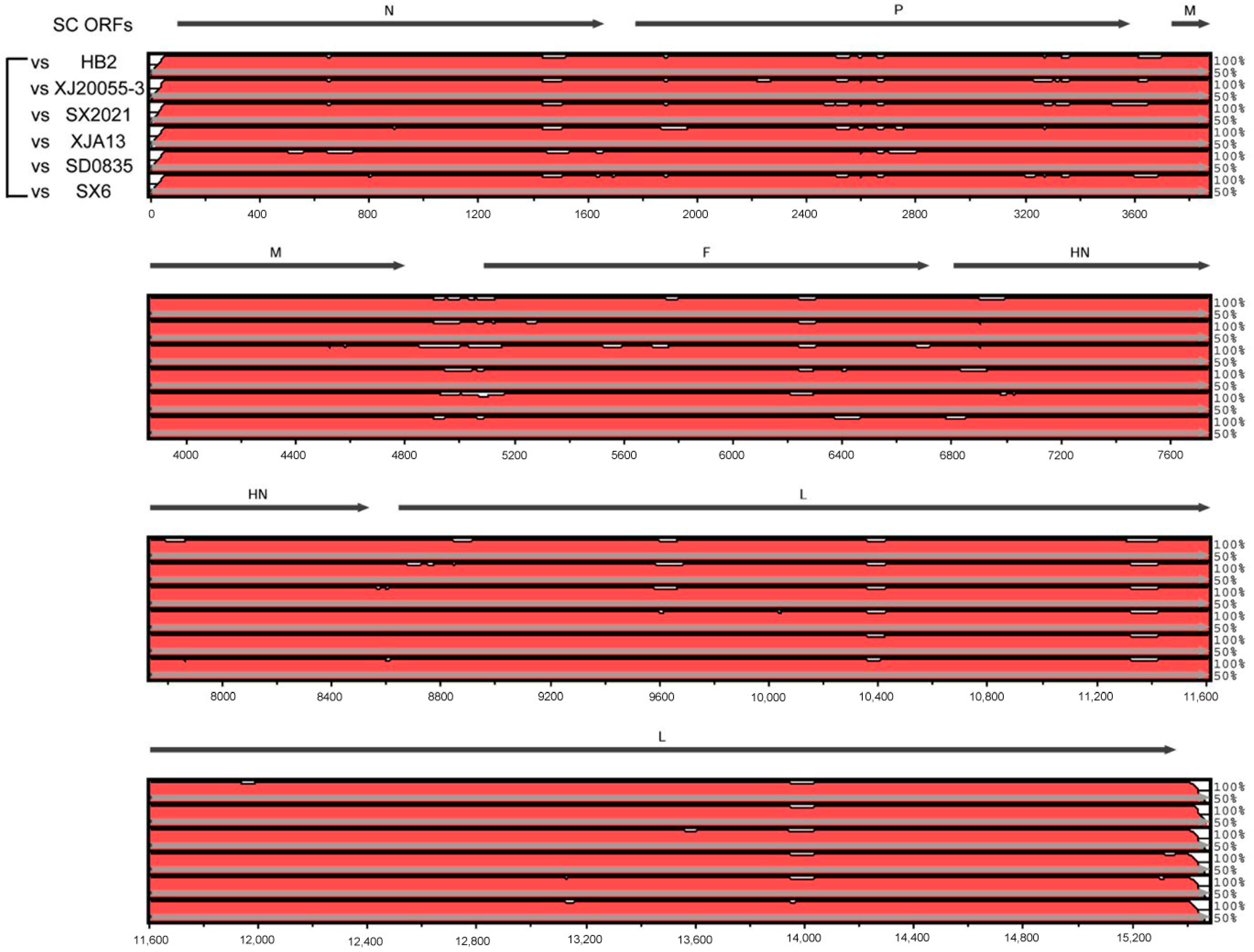 Animals 14 00463 g008