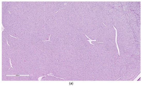 Animals 14 00464 g002a