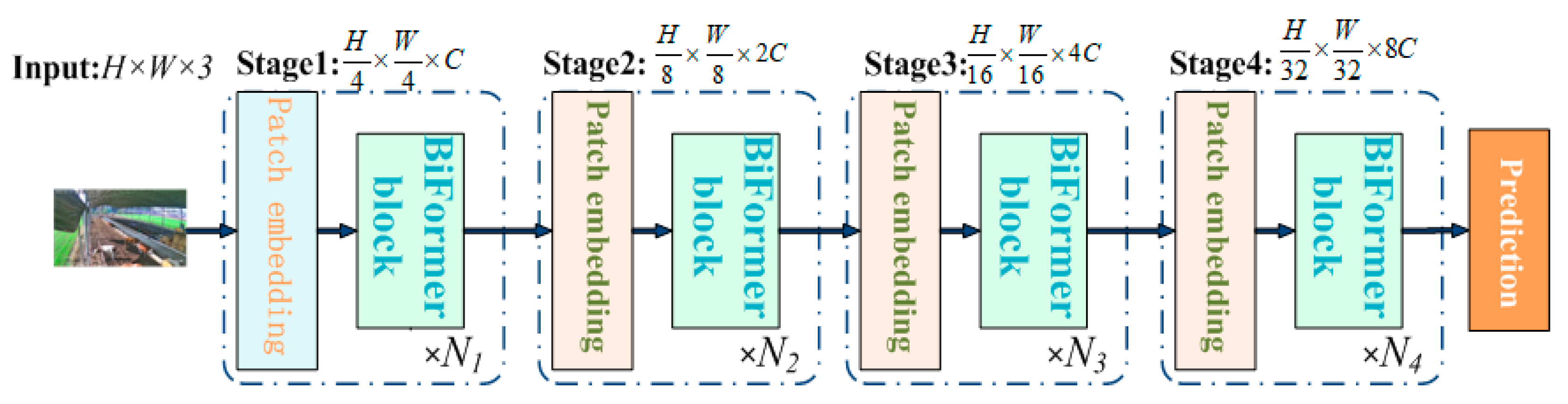 Animals 14 00466 g010