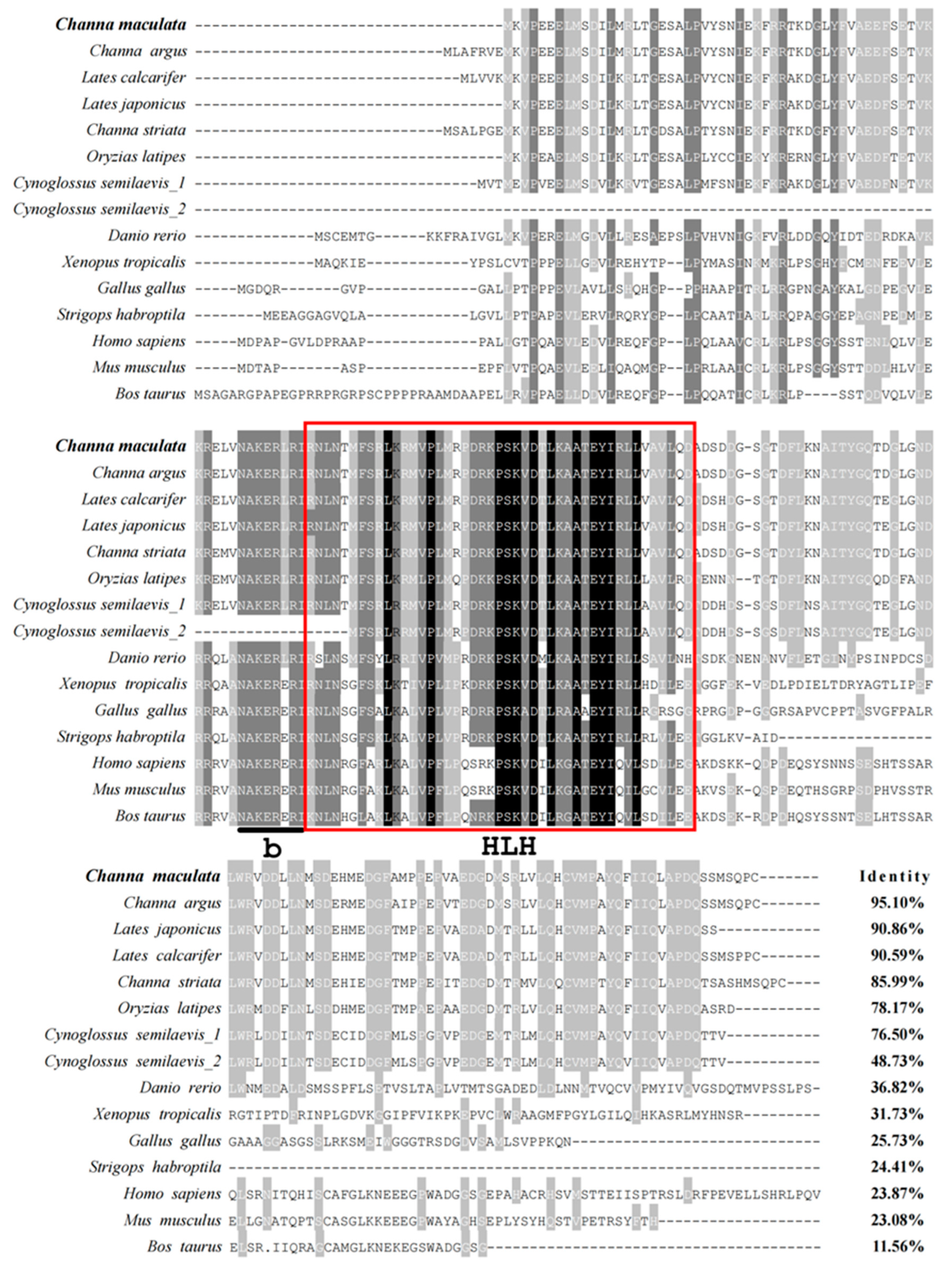Animals 14 00491 g001