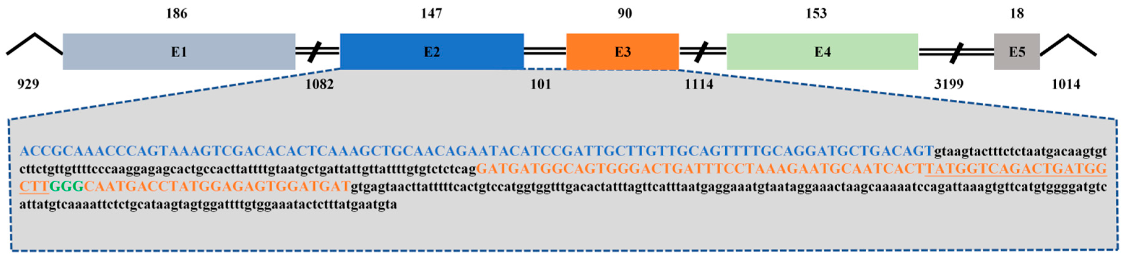 Animals 14 00491 g003