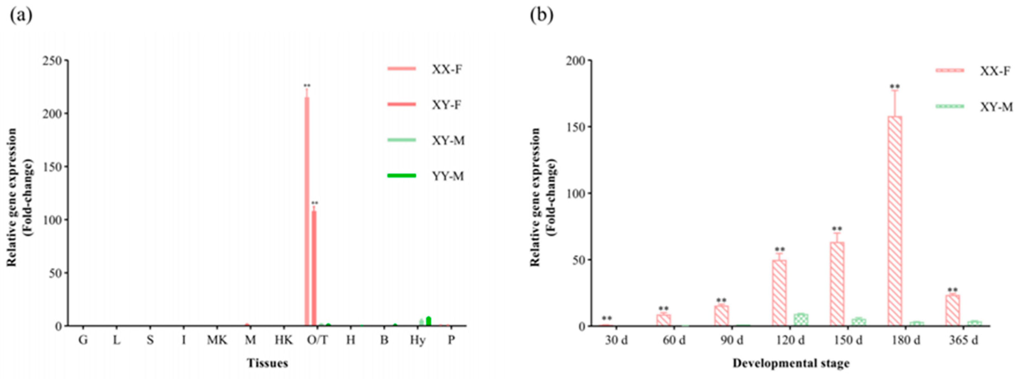 Animals 14 00491 g004