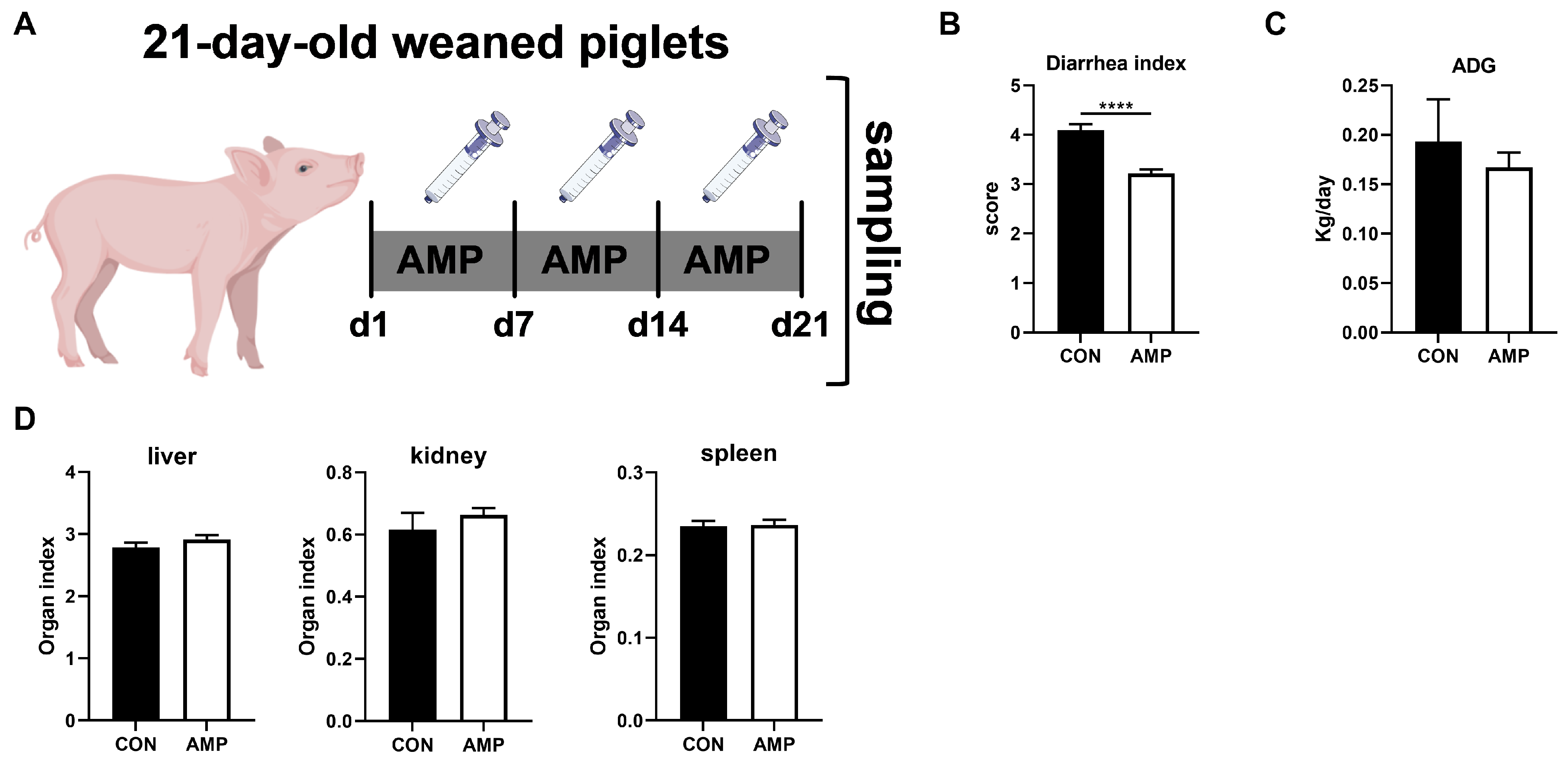 Animals 14 00493 g001