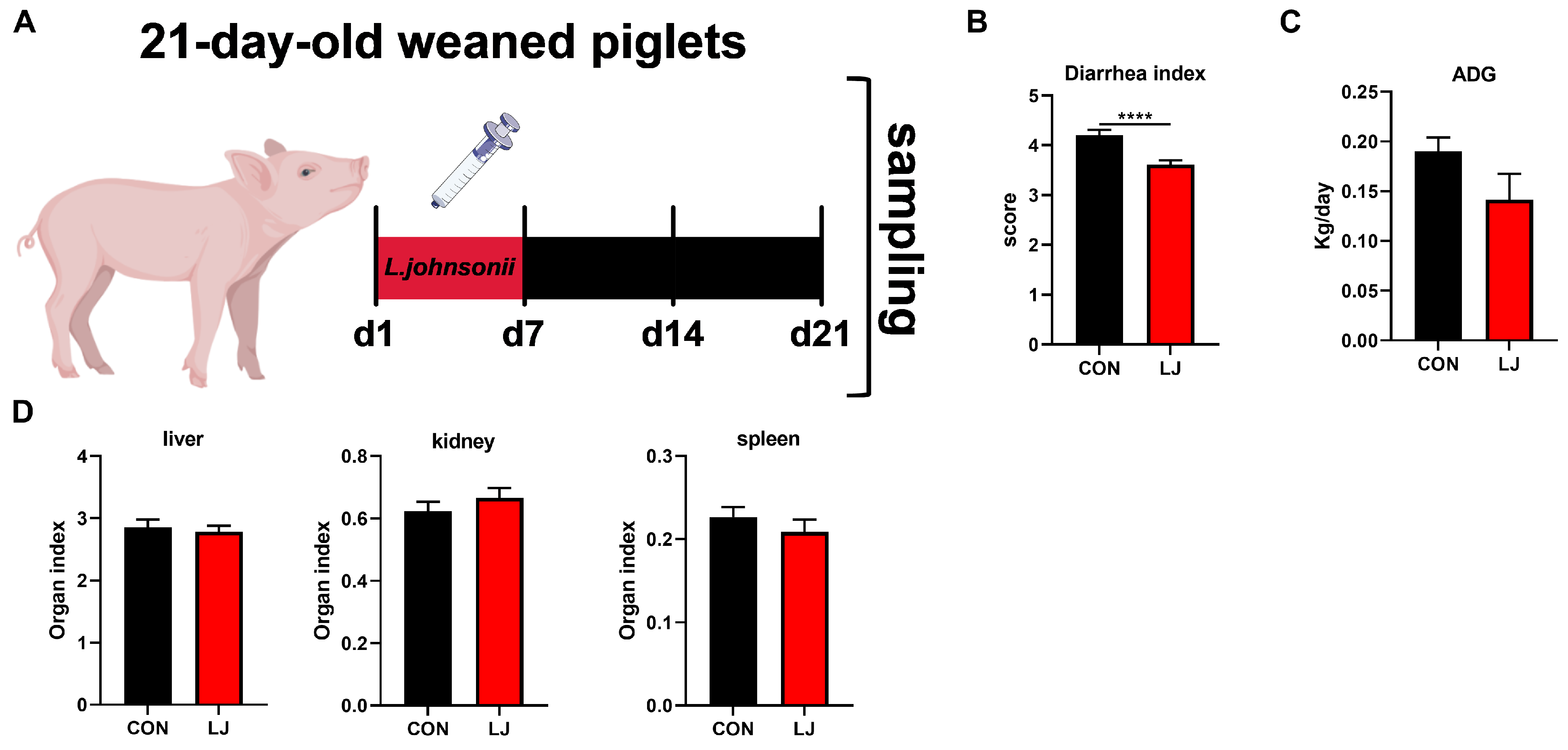 Animals 14 00493 g004