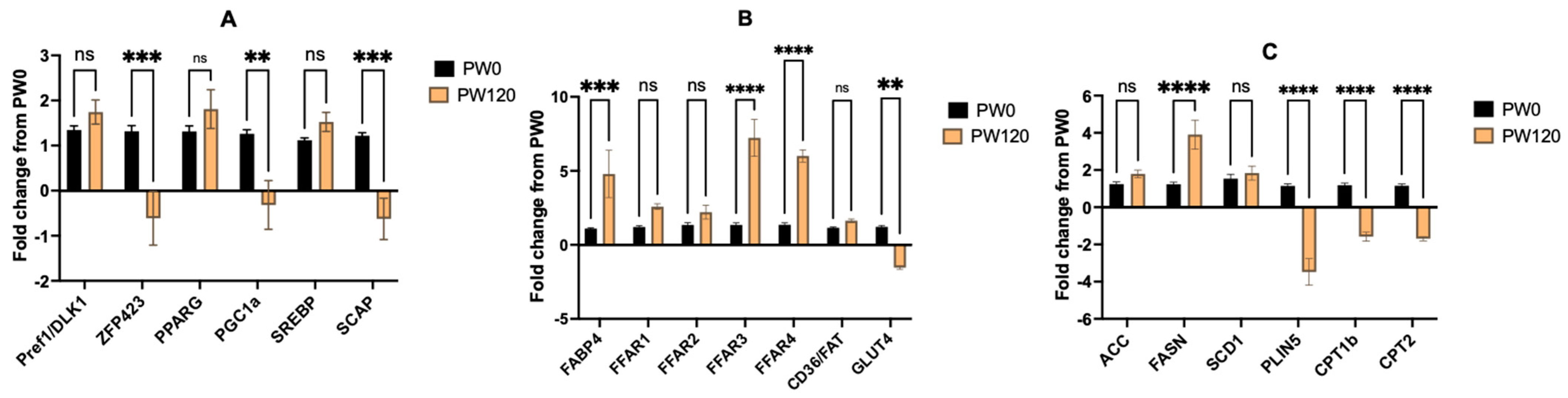 Animals 14 00496 g002 Animals 14 00496 g002