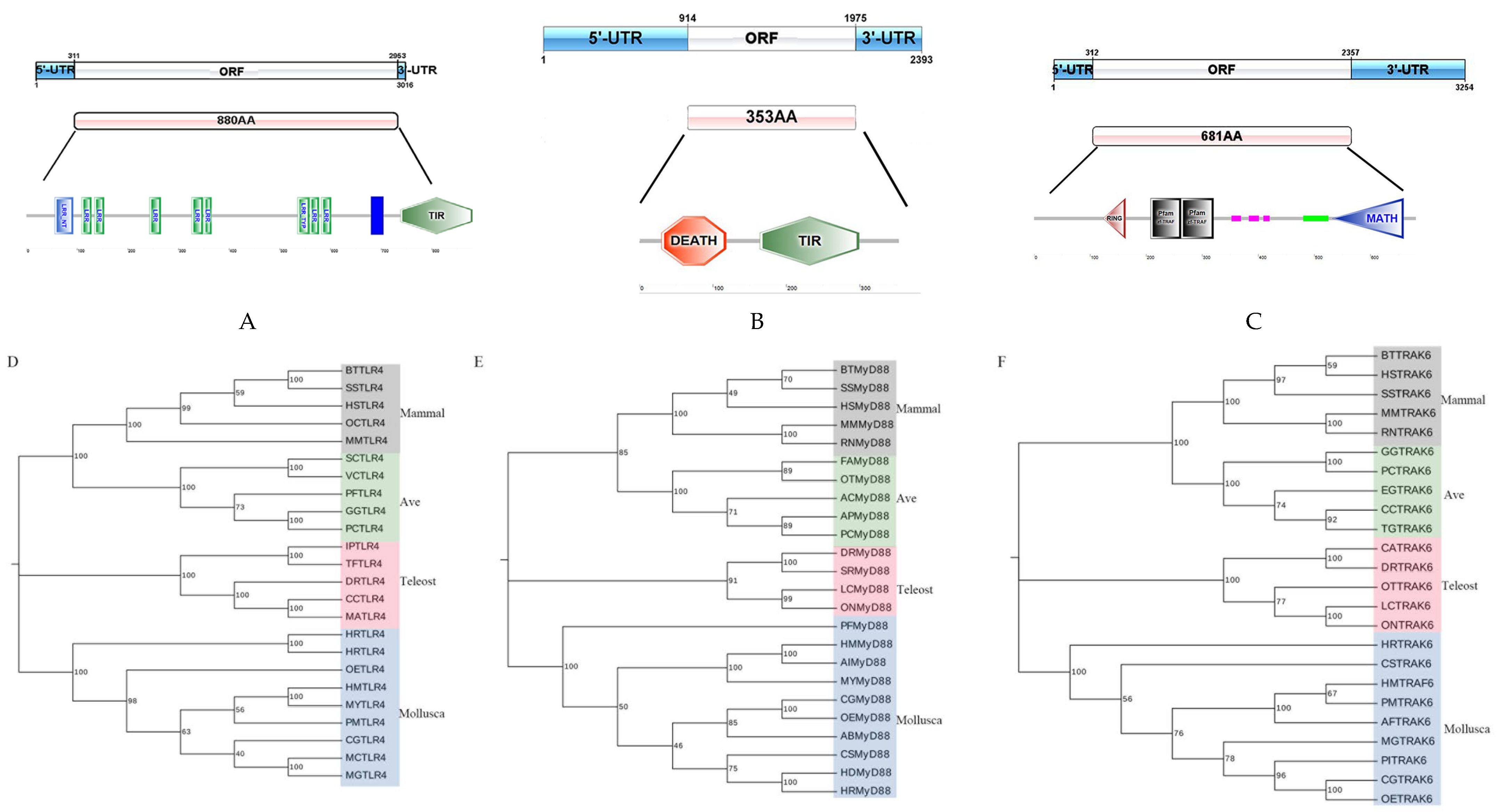 Animals 14 00497 g001 Animals 14 00497 g001