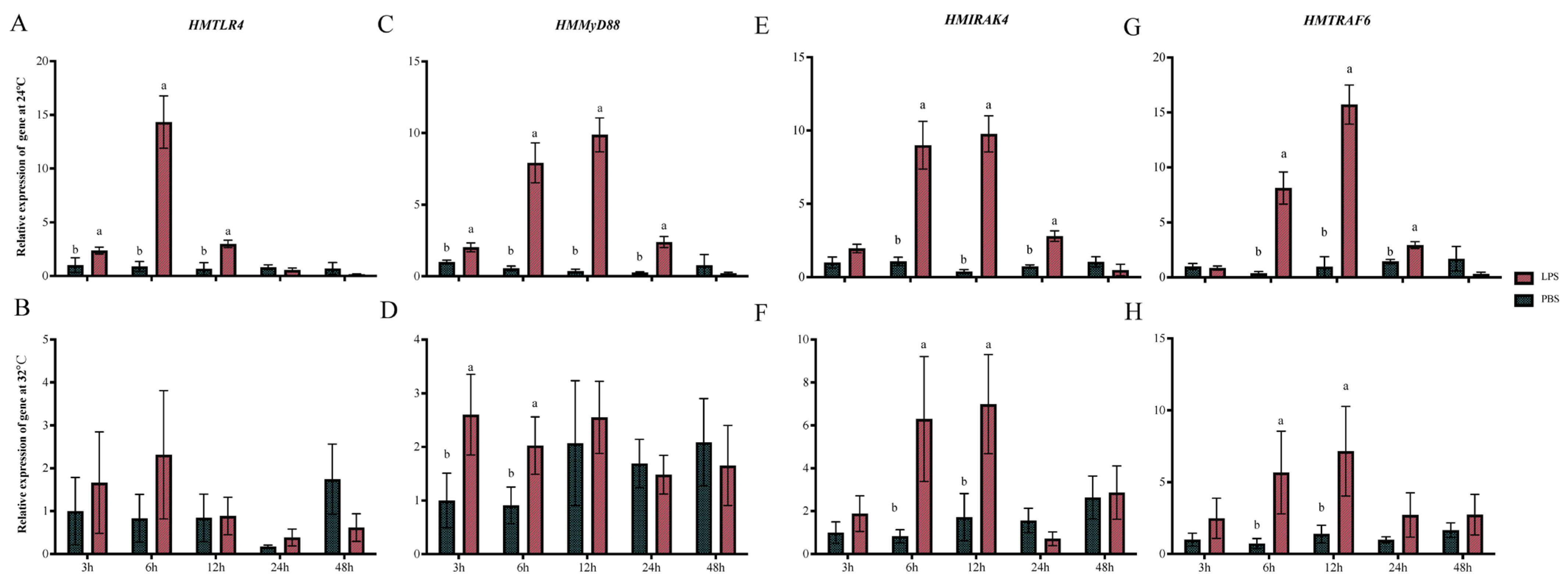 Animals 14 00497 g003 Animals 14 00497 g003