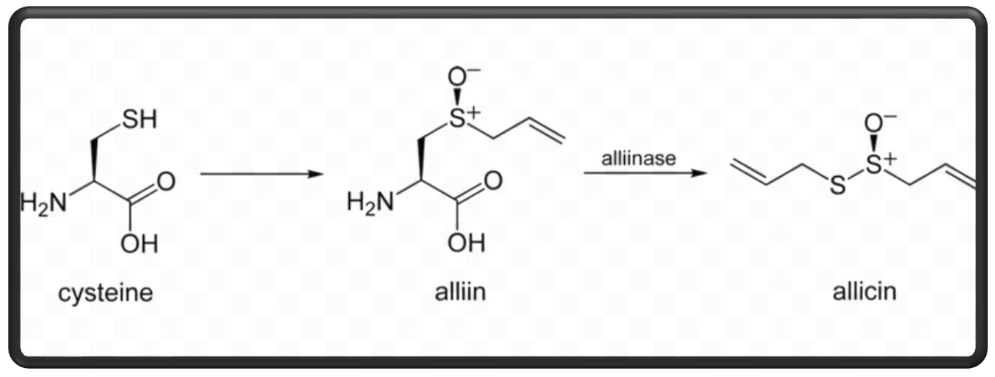 Animals 14 00498 g001