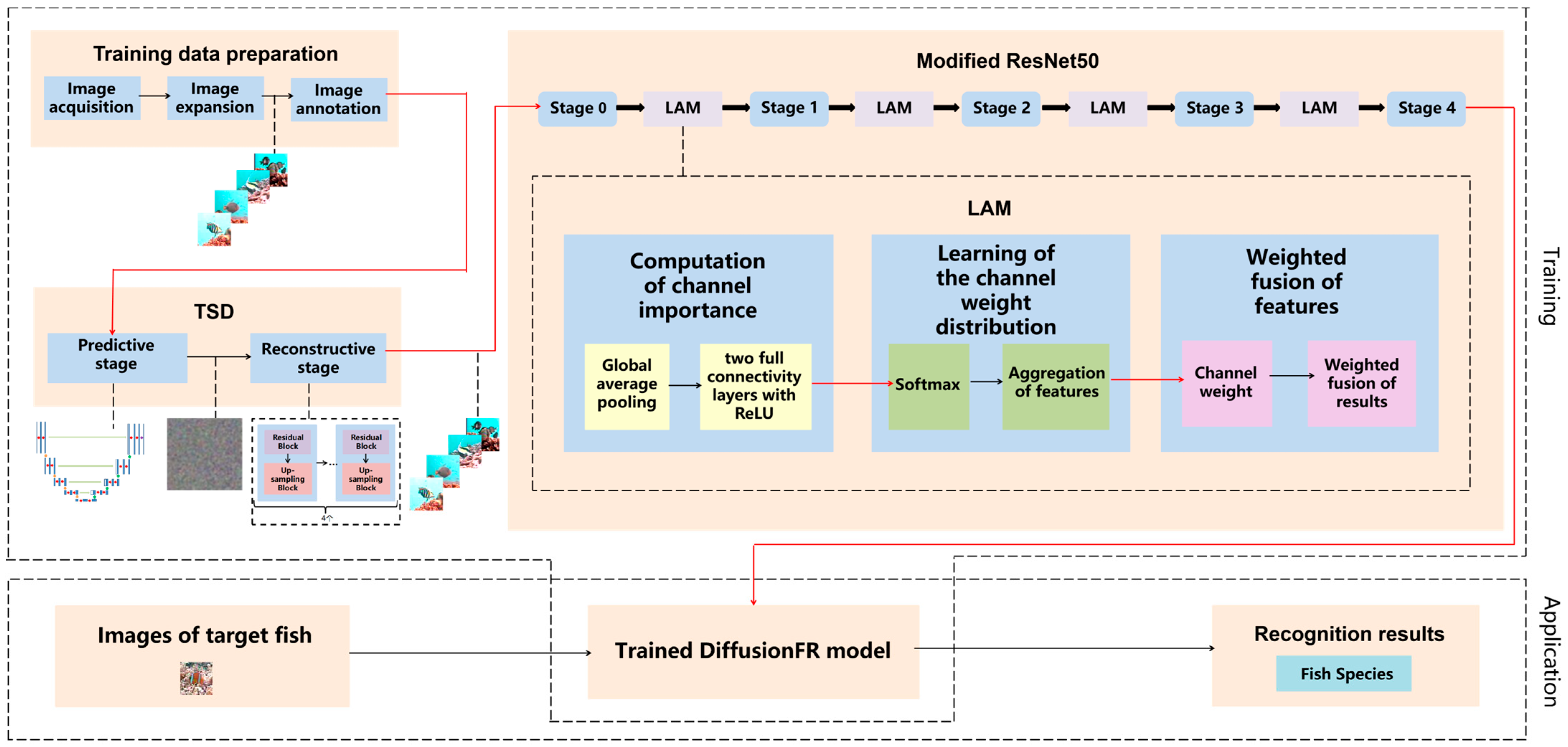 Animals 14 00499 g001
