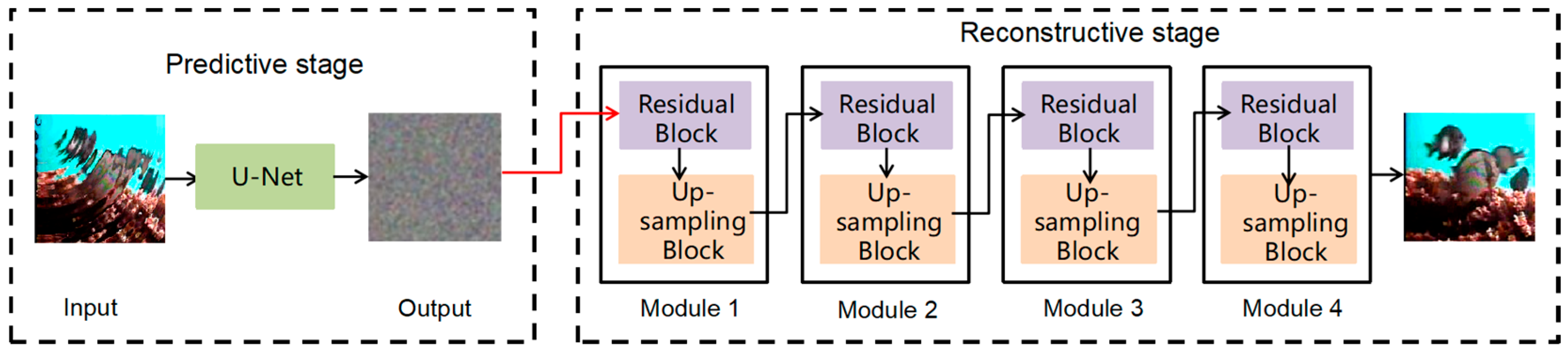 Animals 14 00499 g002
