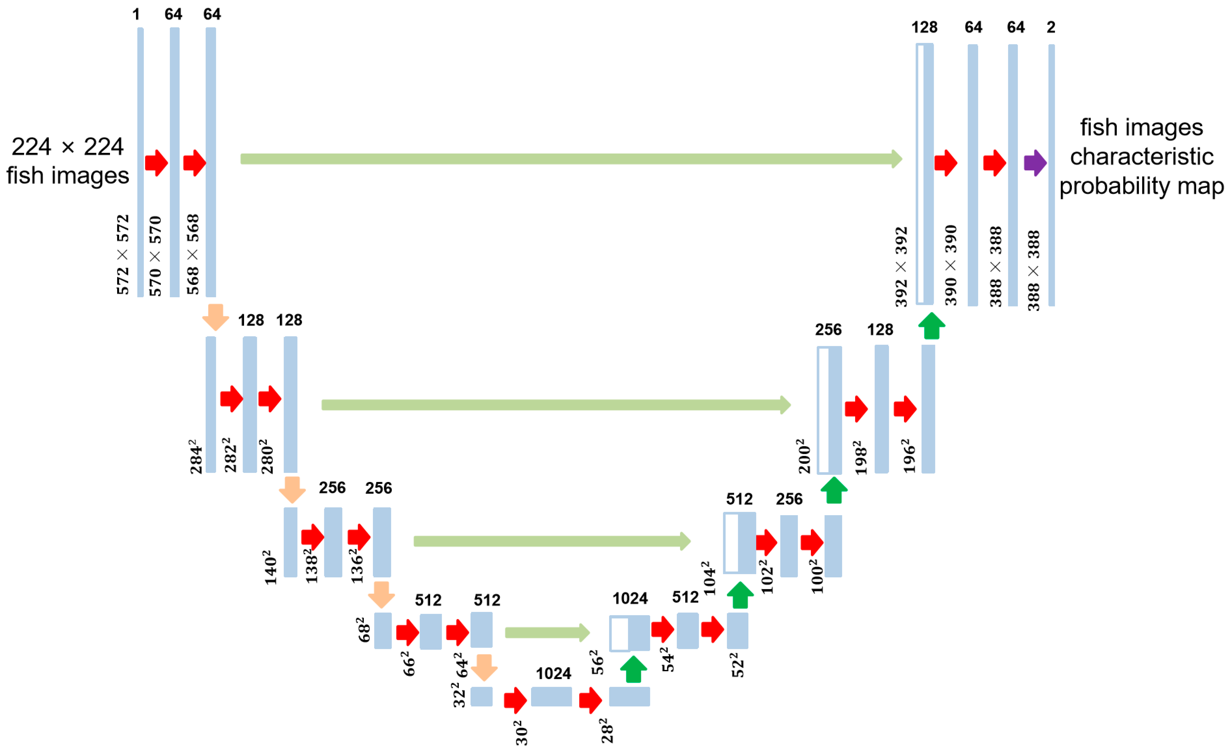 Animals 14 00499 g003