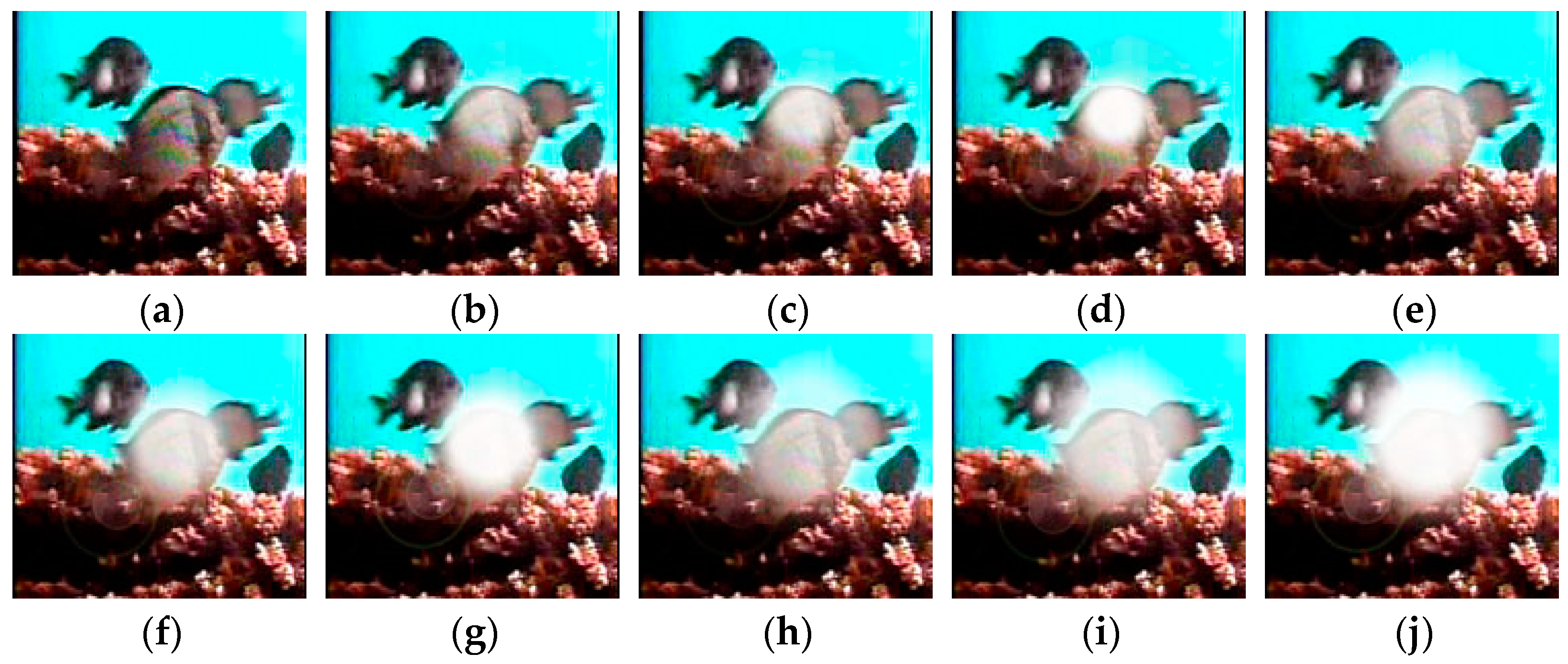 Animals 14 00499 g008