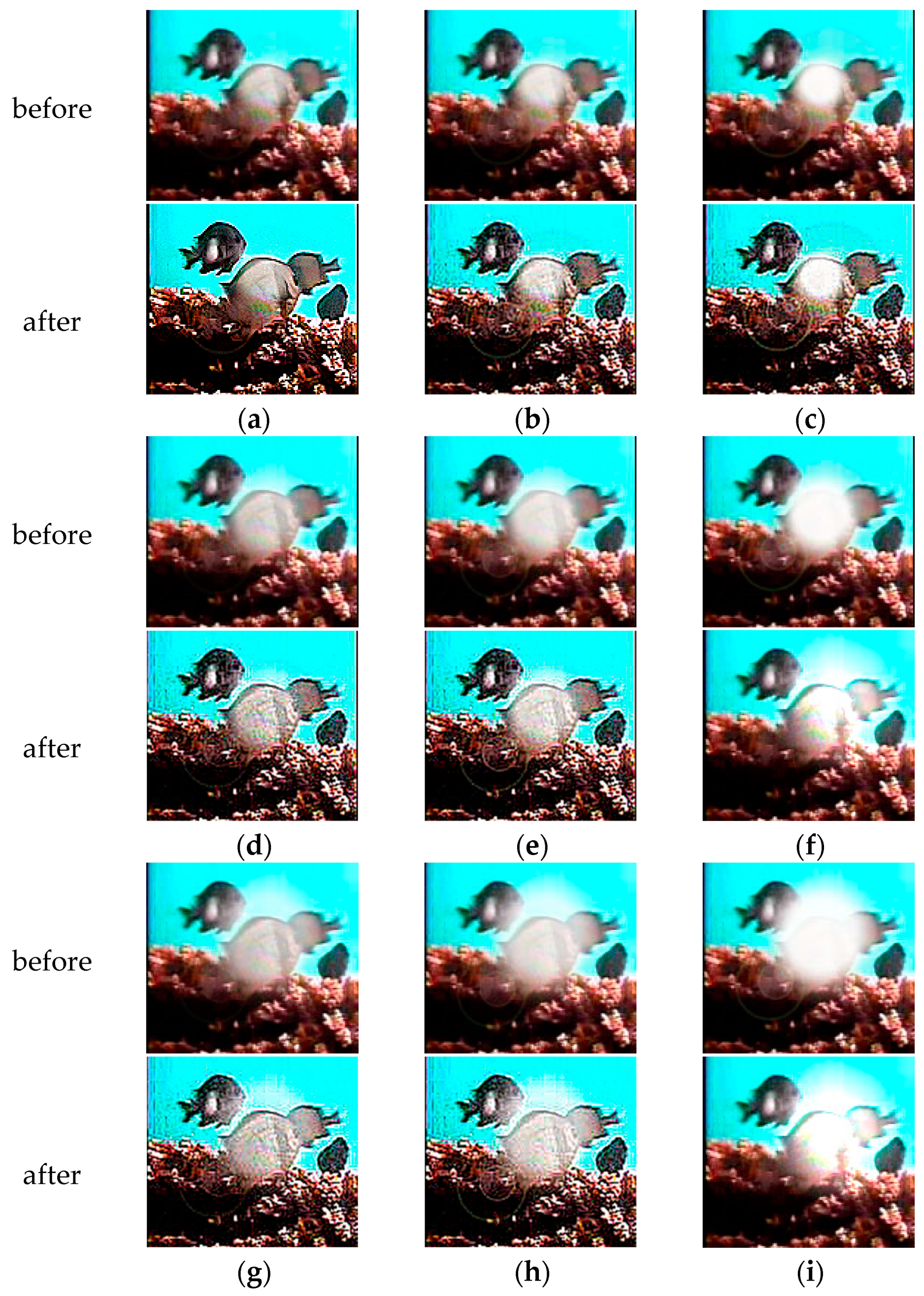 Animals 14 00499 g010