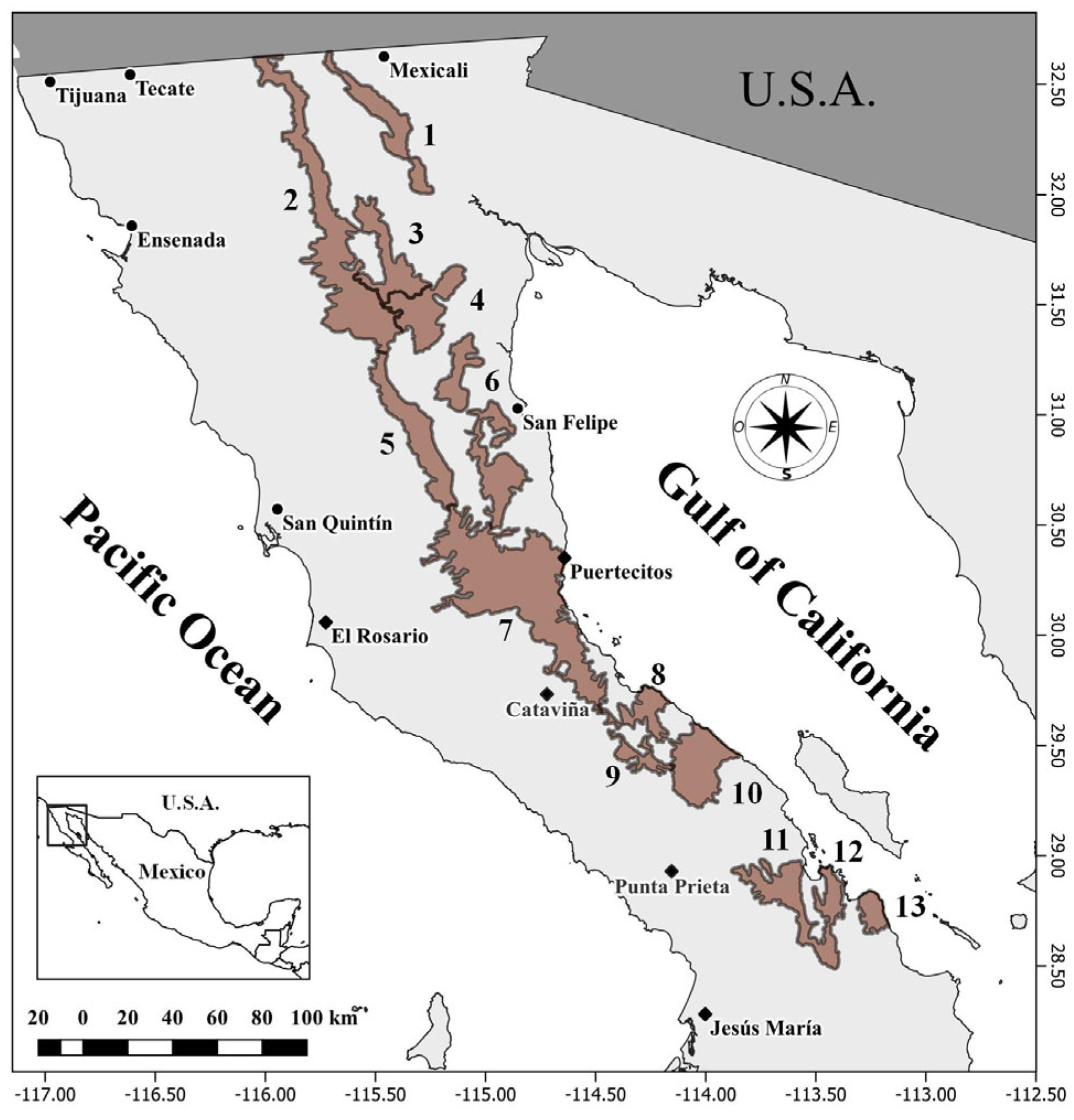 Animals 14 00504 g001