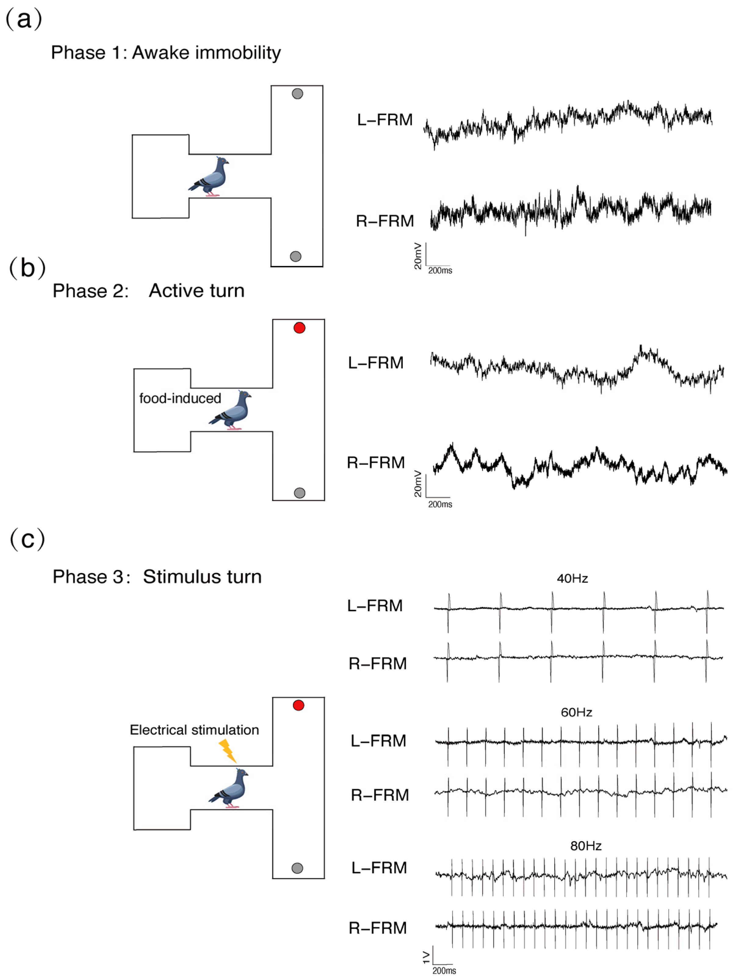 Animals 14 00509 g003
