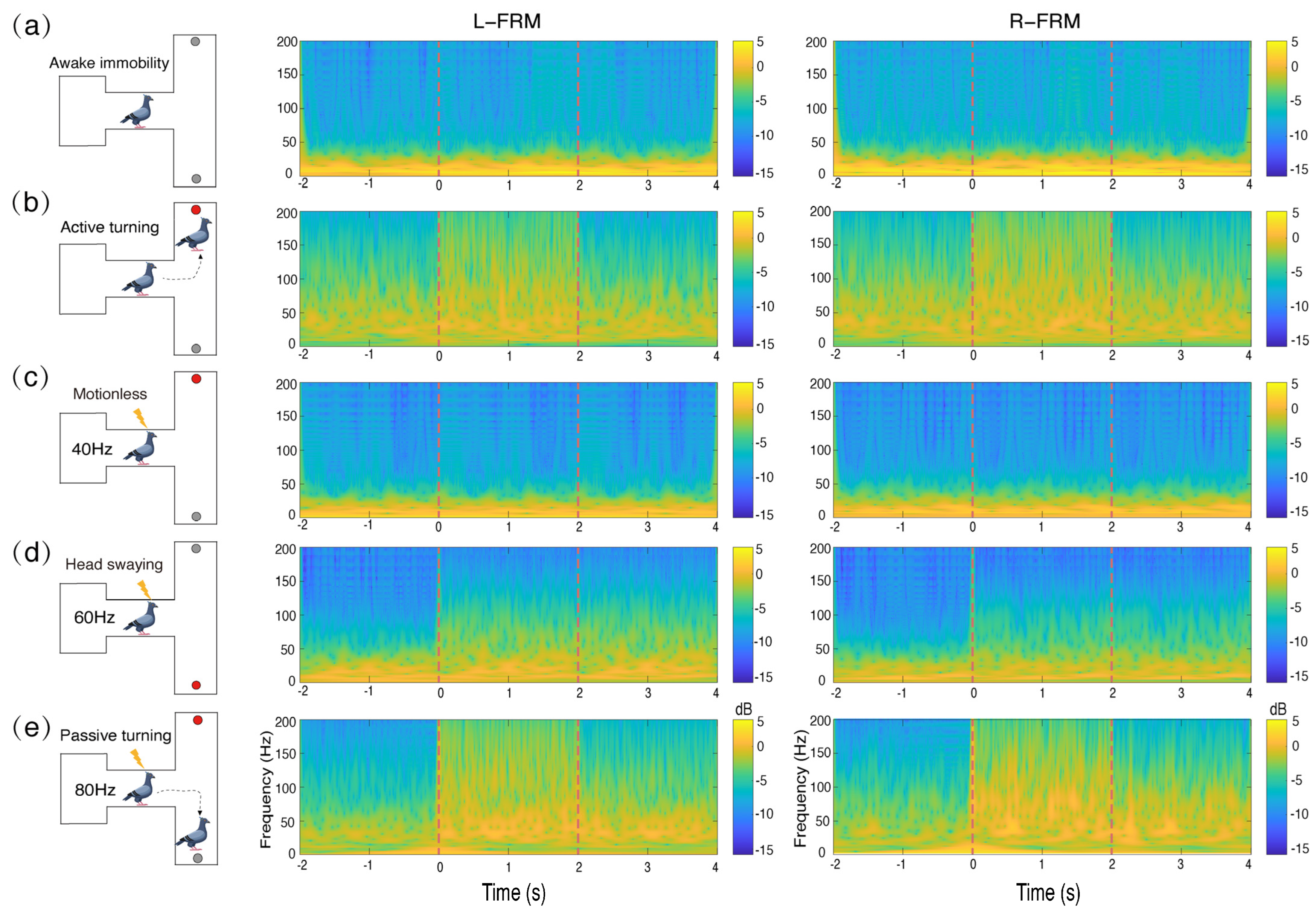 Animals 14 00509 g004