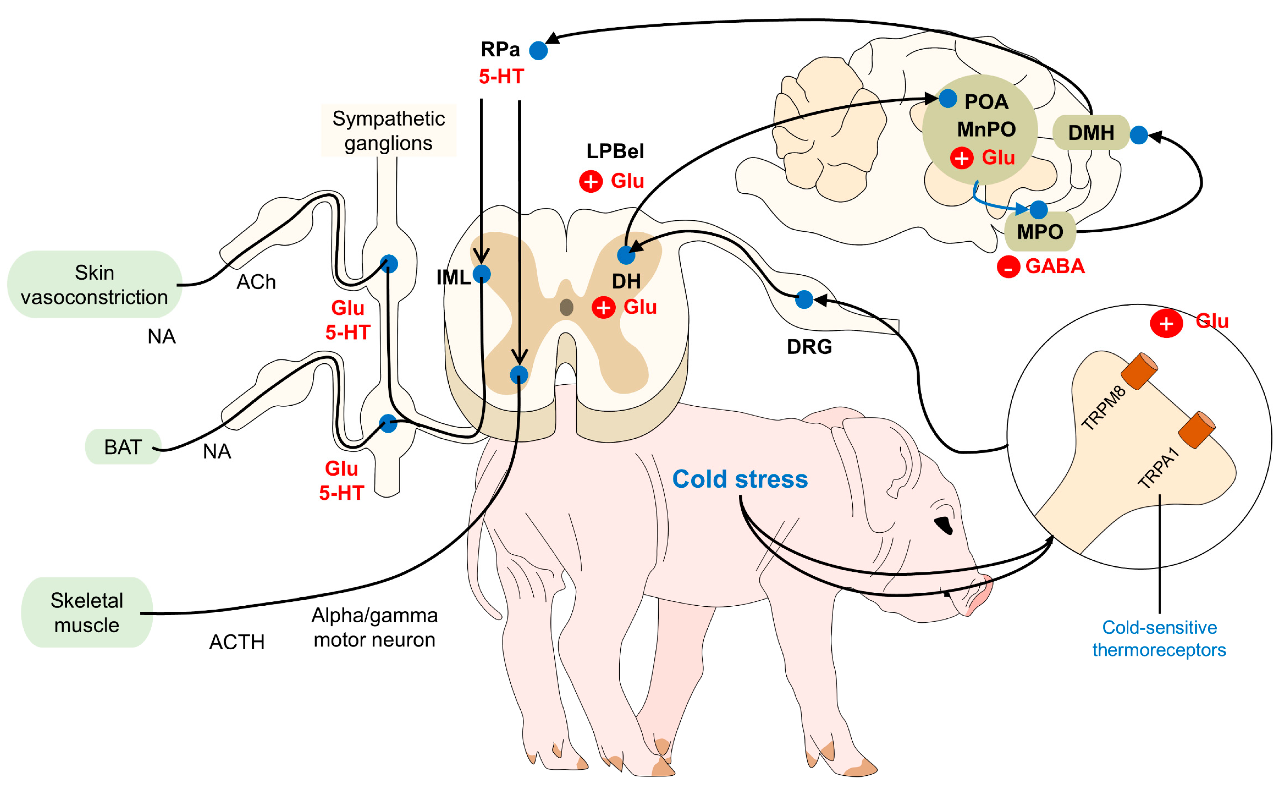 Animals 14 00513 g001