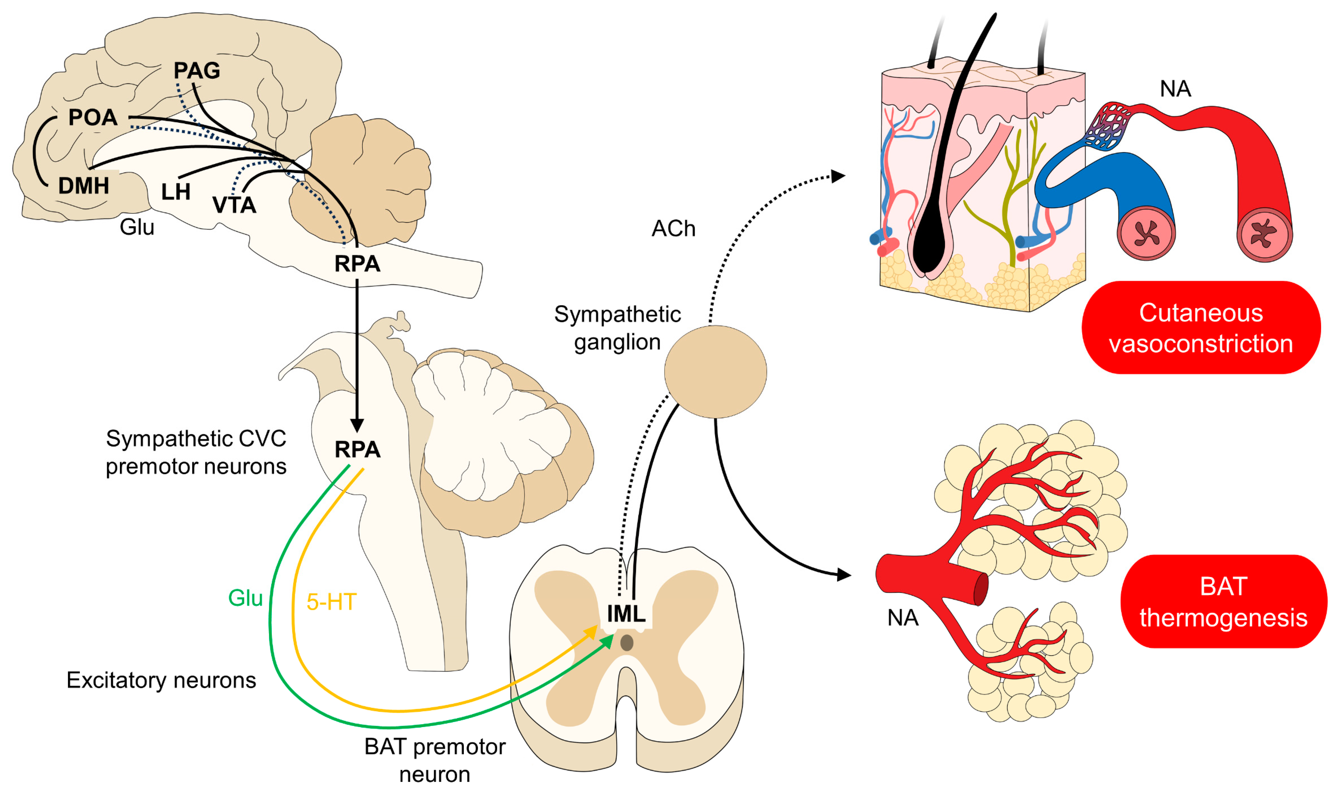 Animals 14 00513 g002