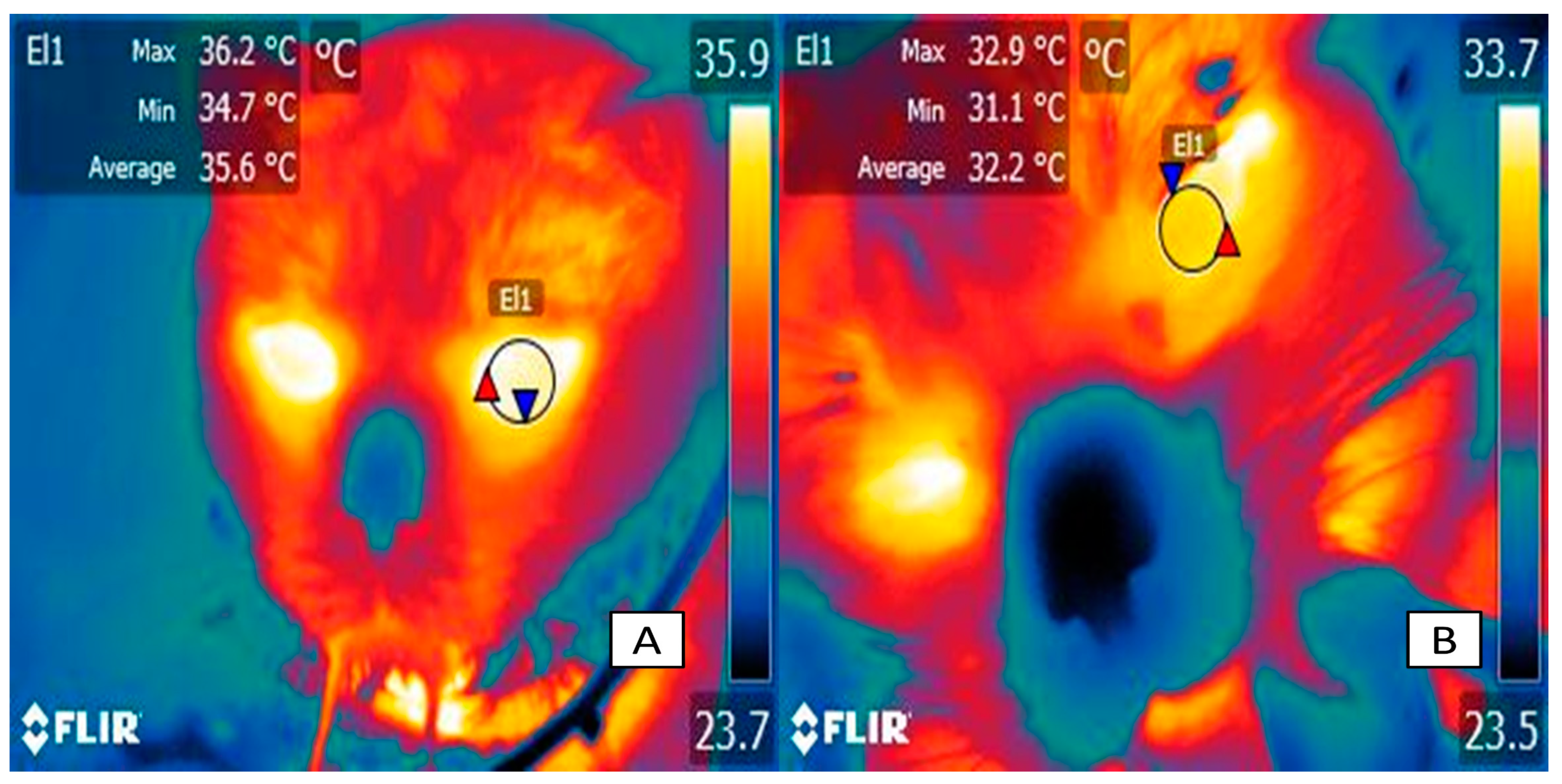 Animals 14 00513 g003