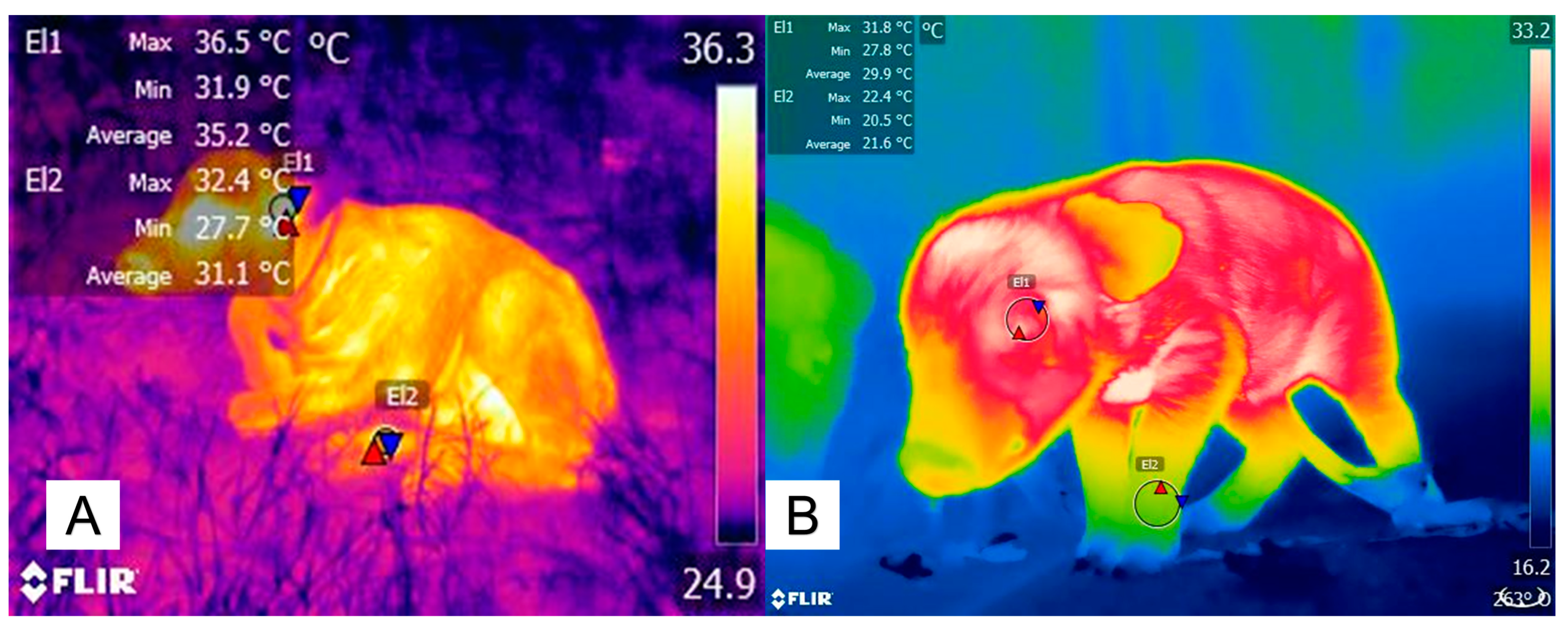 Animals 14 00513 g004