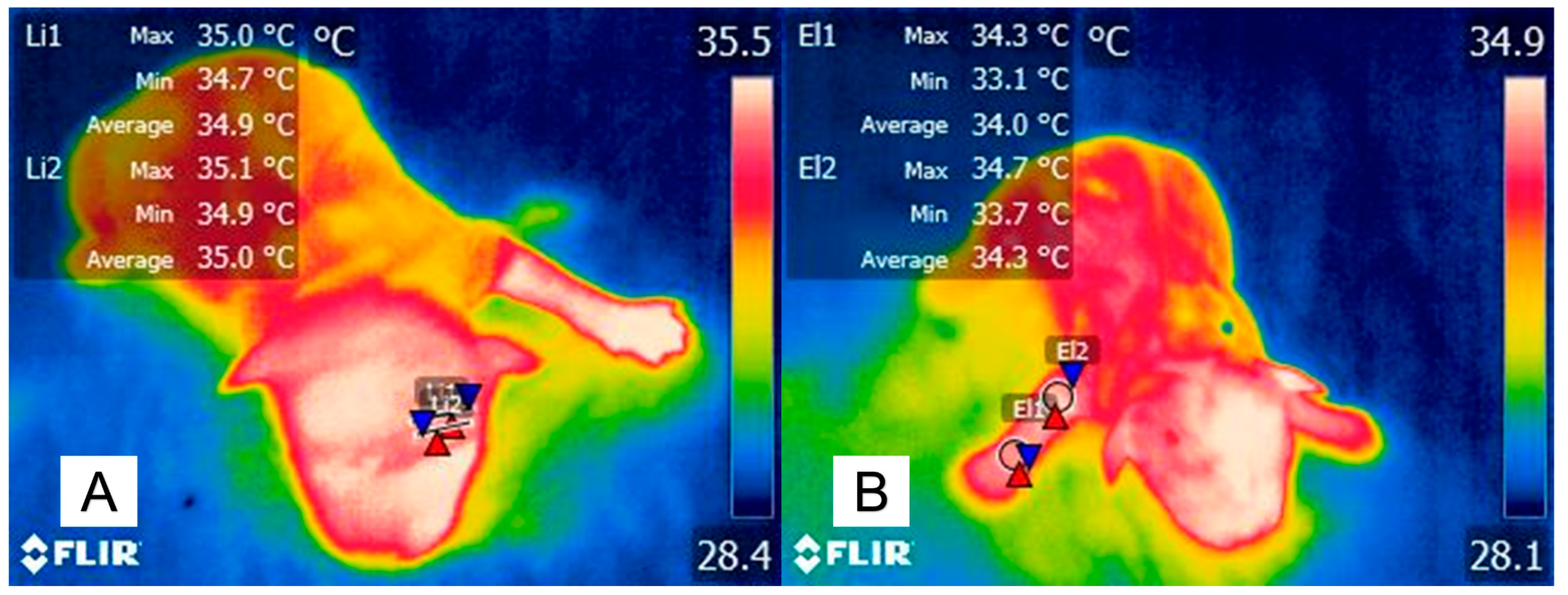 Animals 14 00513 g005