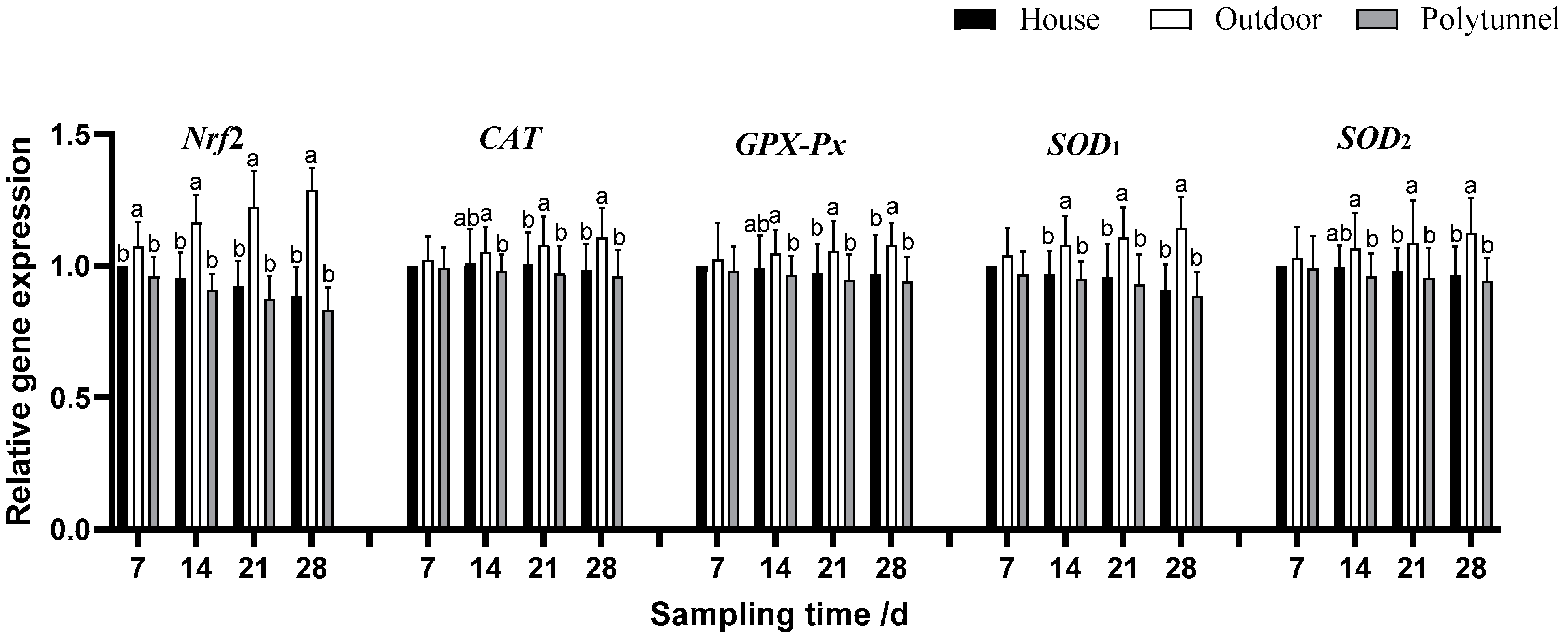 Animals 14 00518 g002