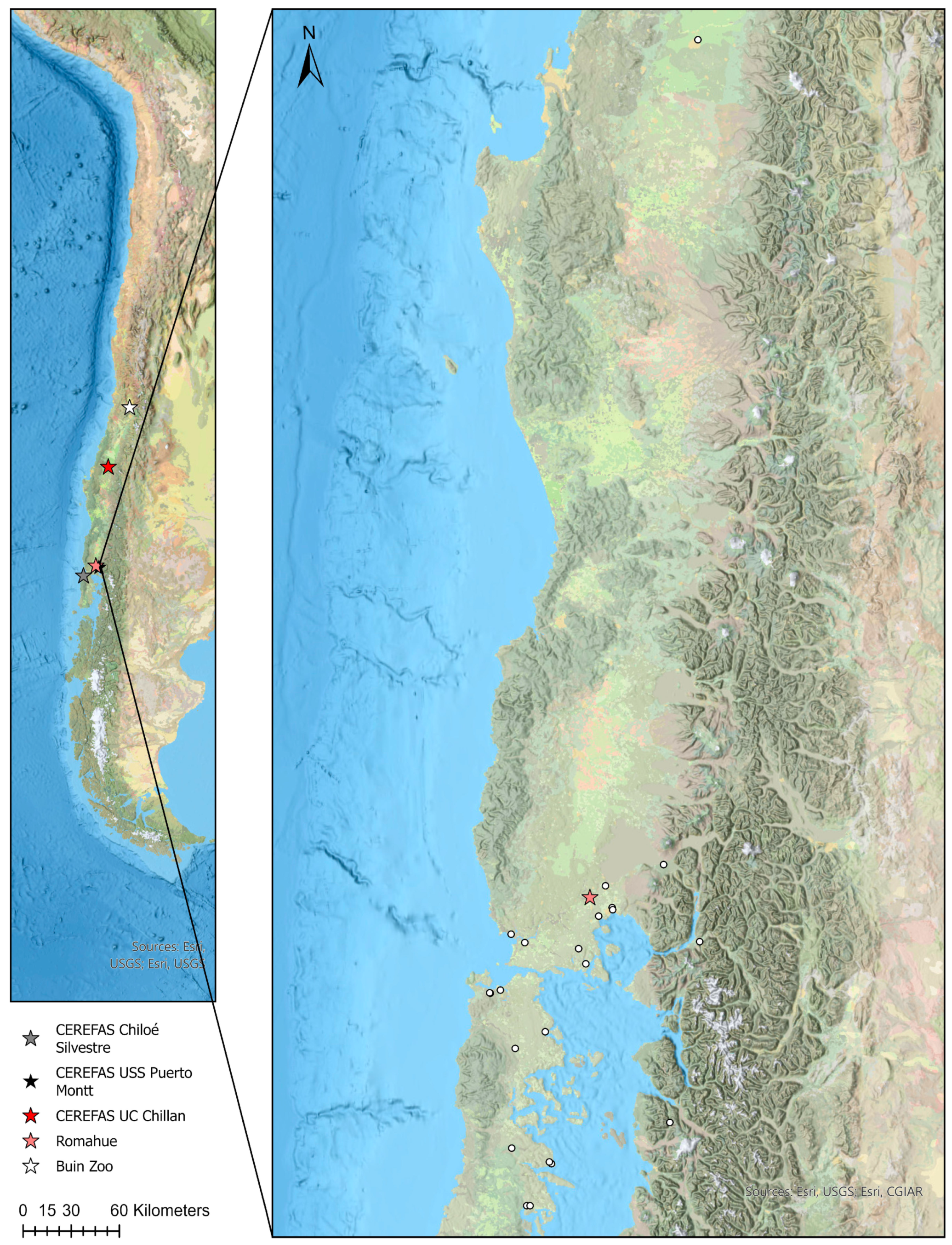 Animals 14 00526 g001 Animals 14 00526 g001