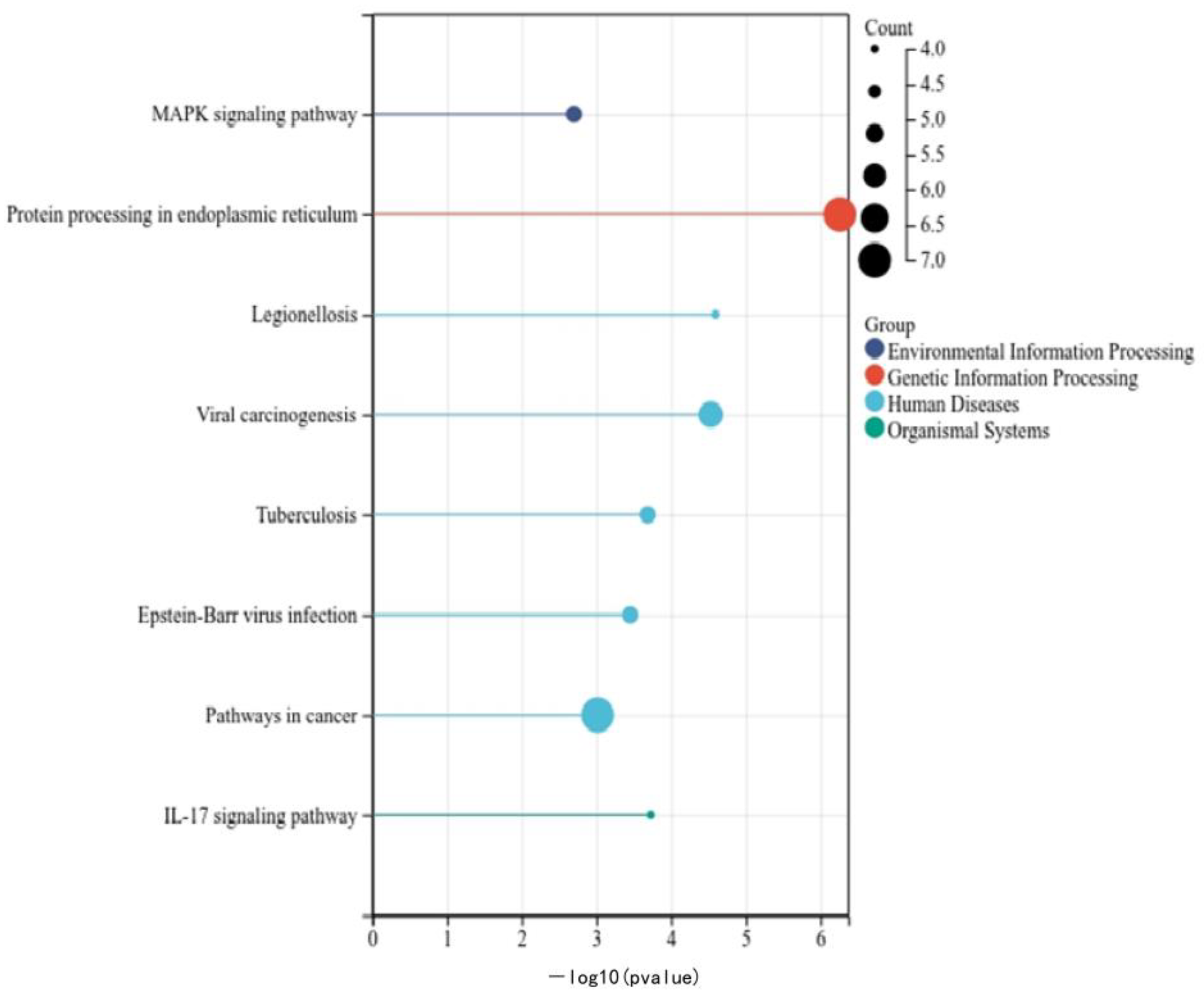 Animals 14 00532 g003