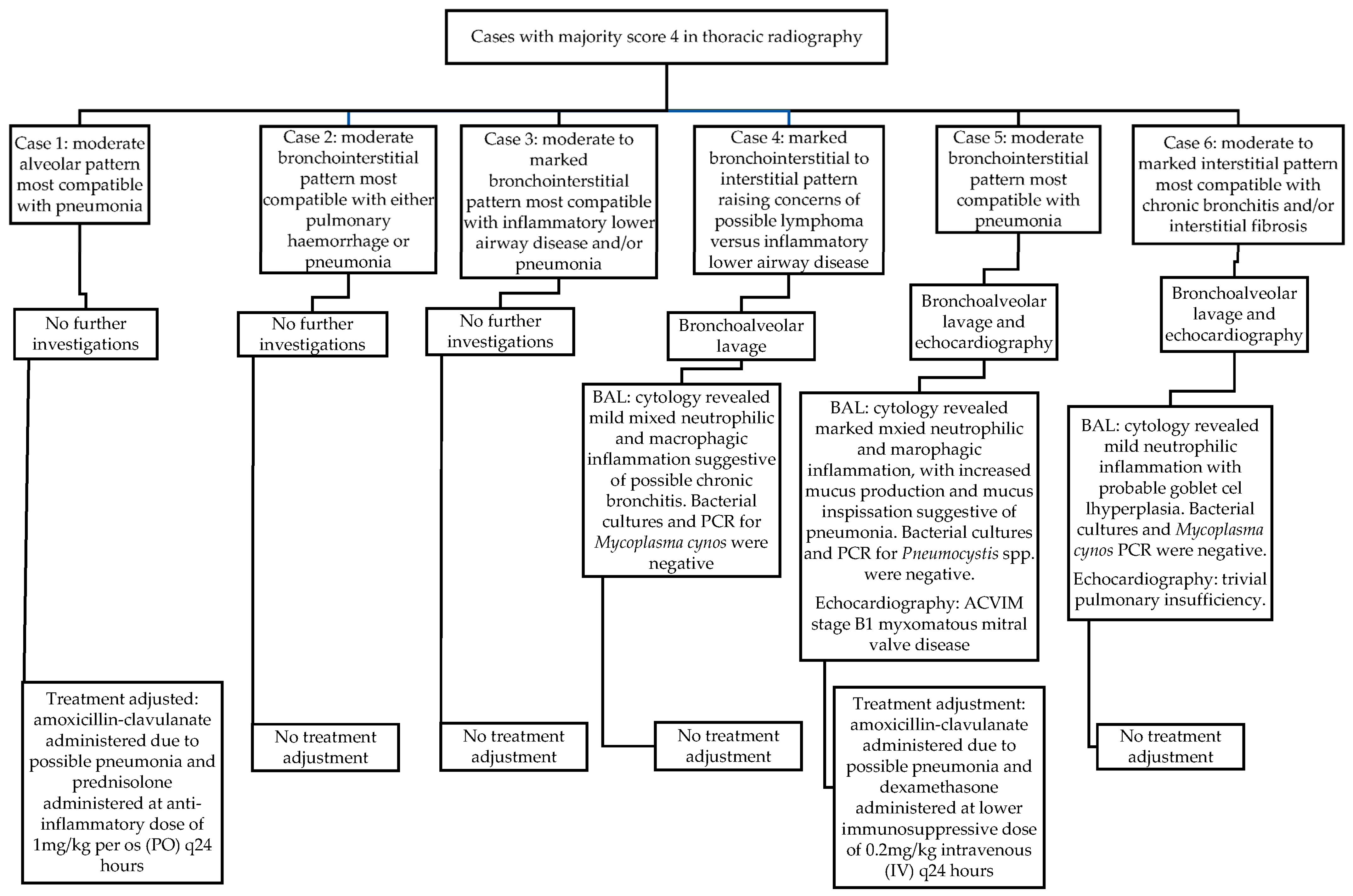 Animals 14 00534 g001