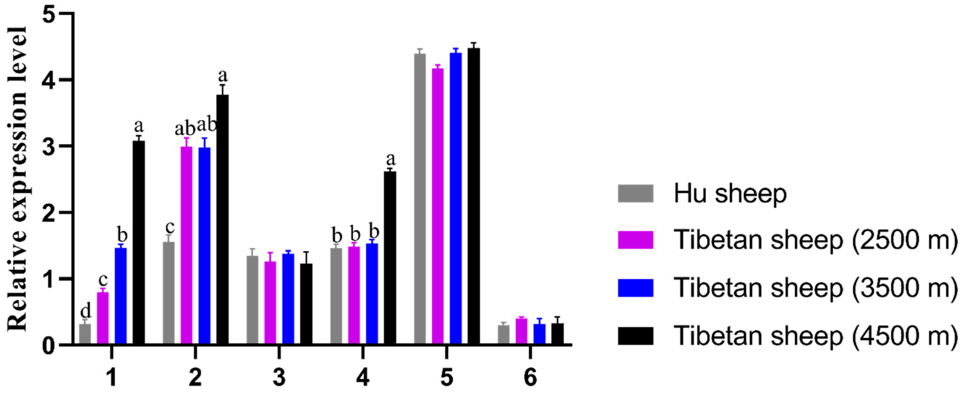 Animals 14 00535 g001