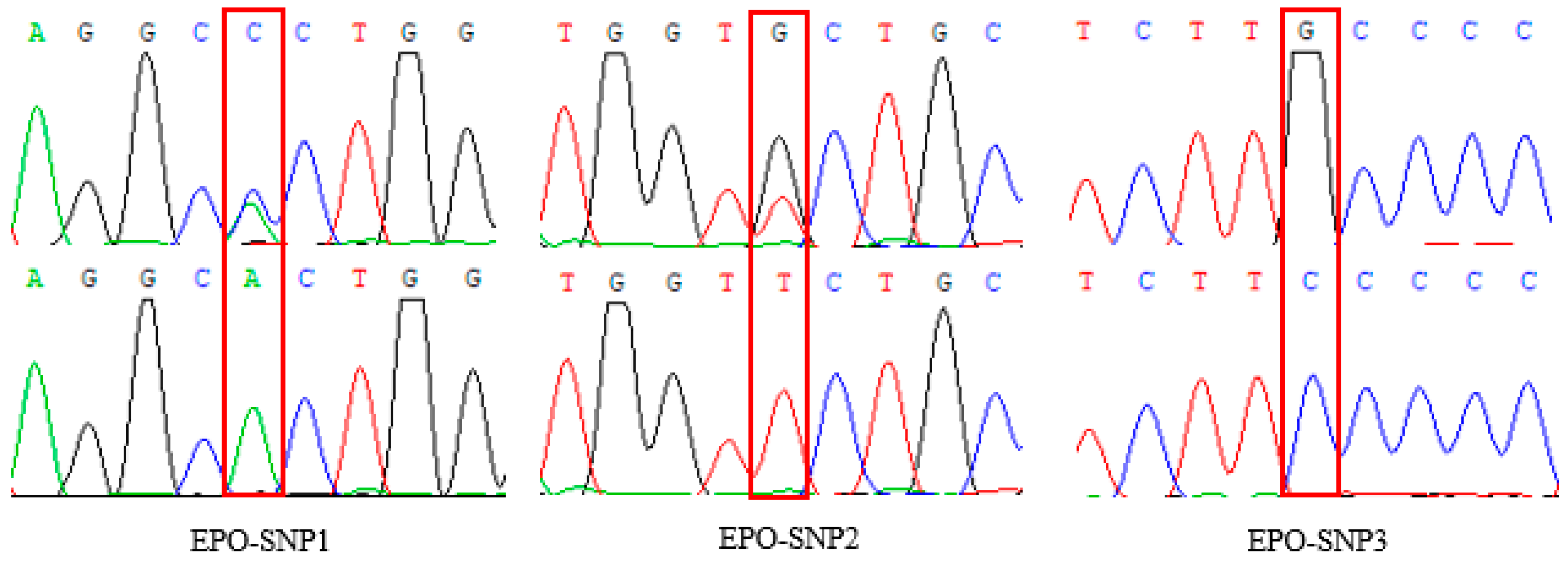 Animals 14 00535 g003