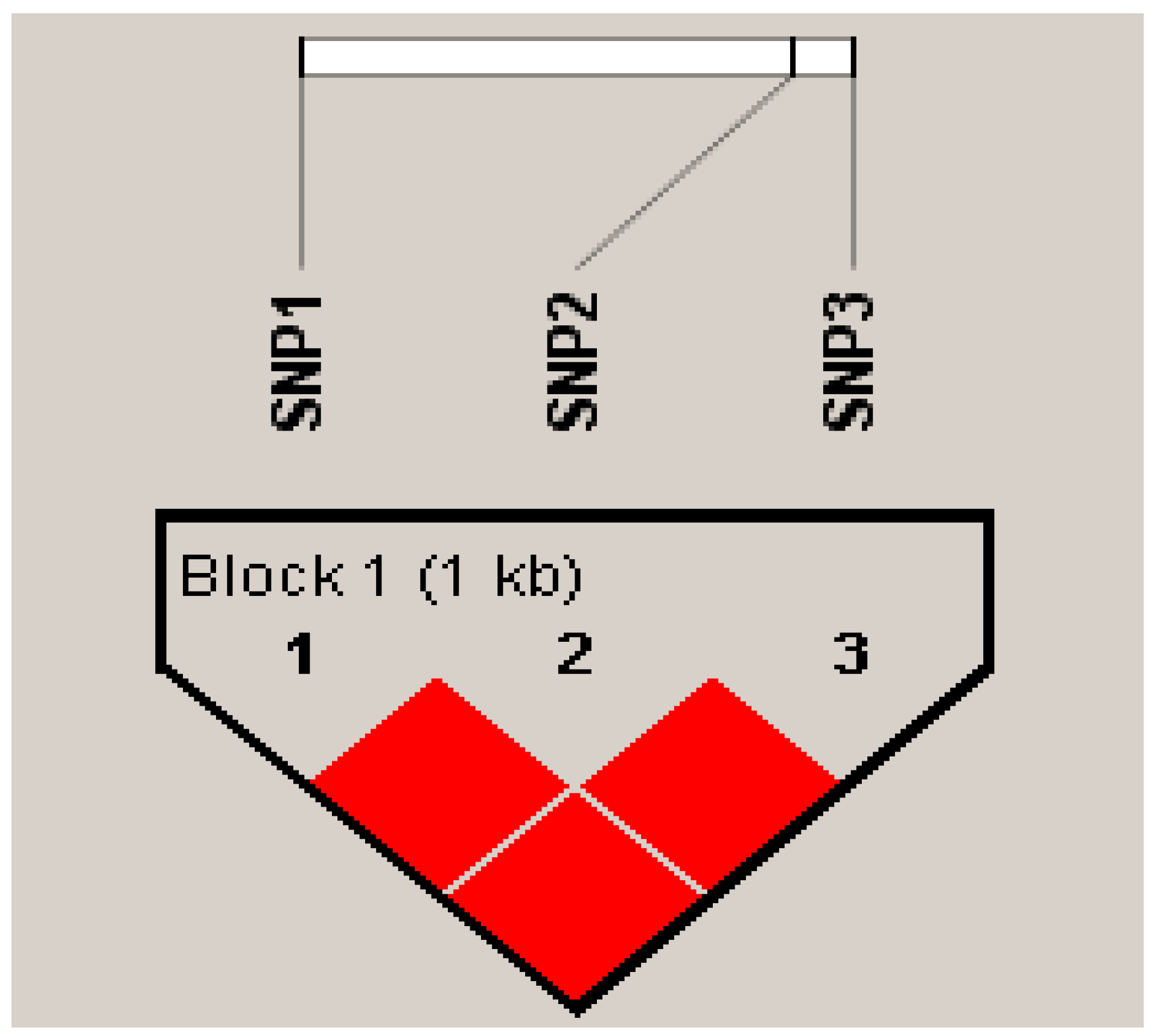 Animals 14 00535 g005