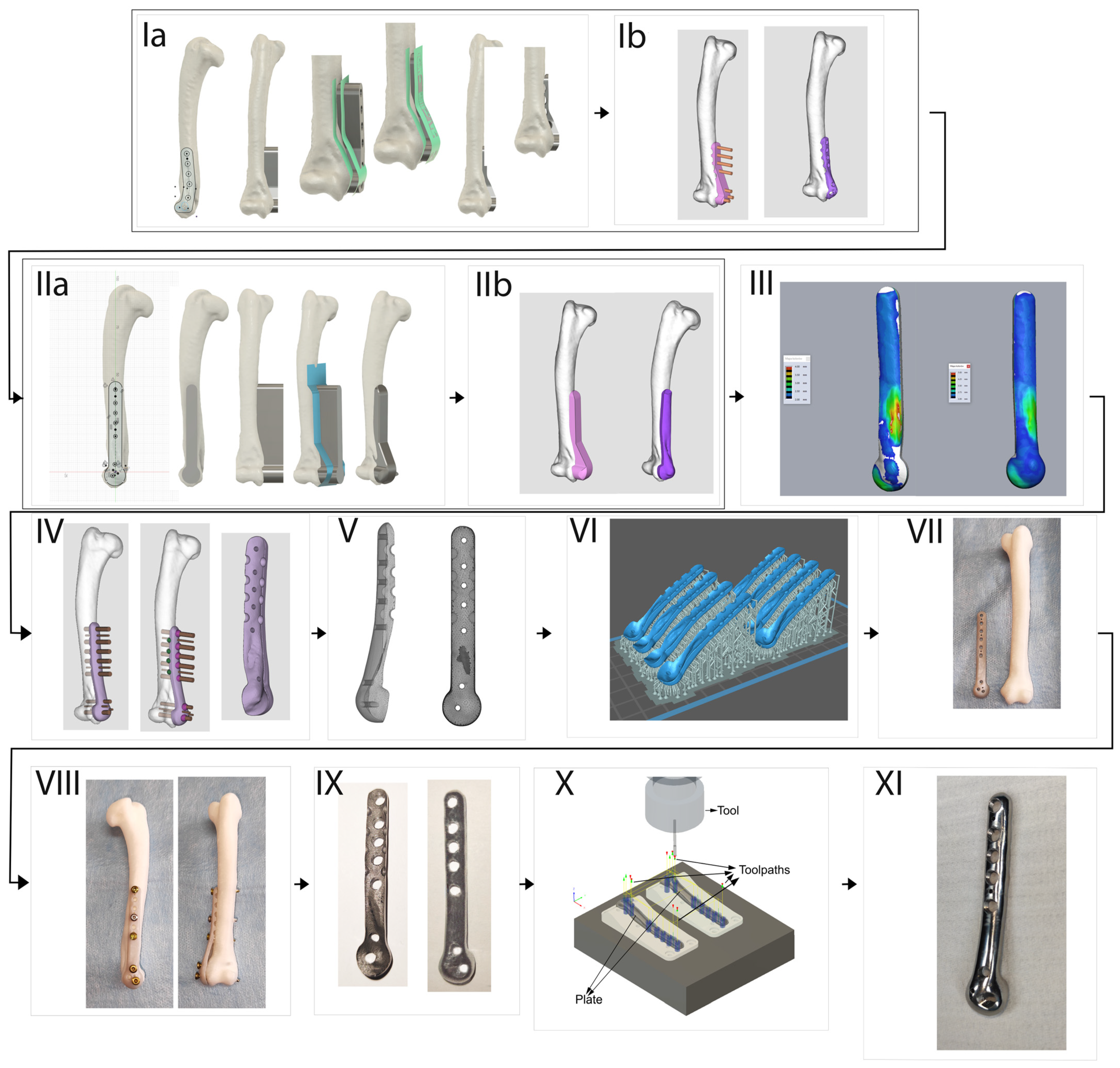 Animals 14 00537 g002