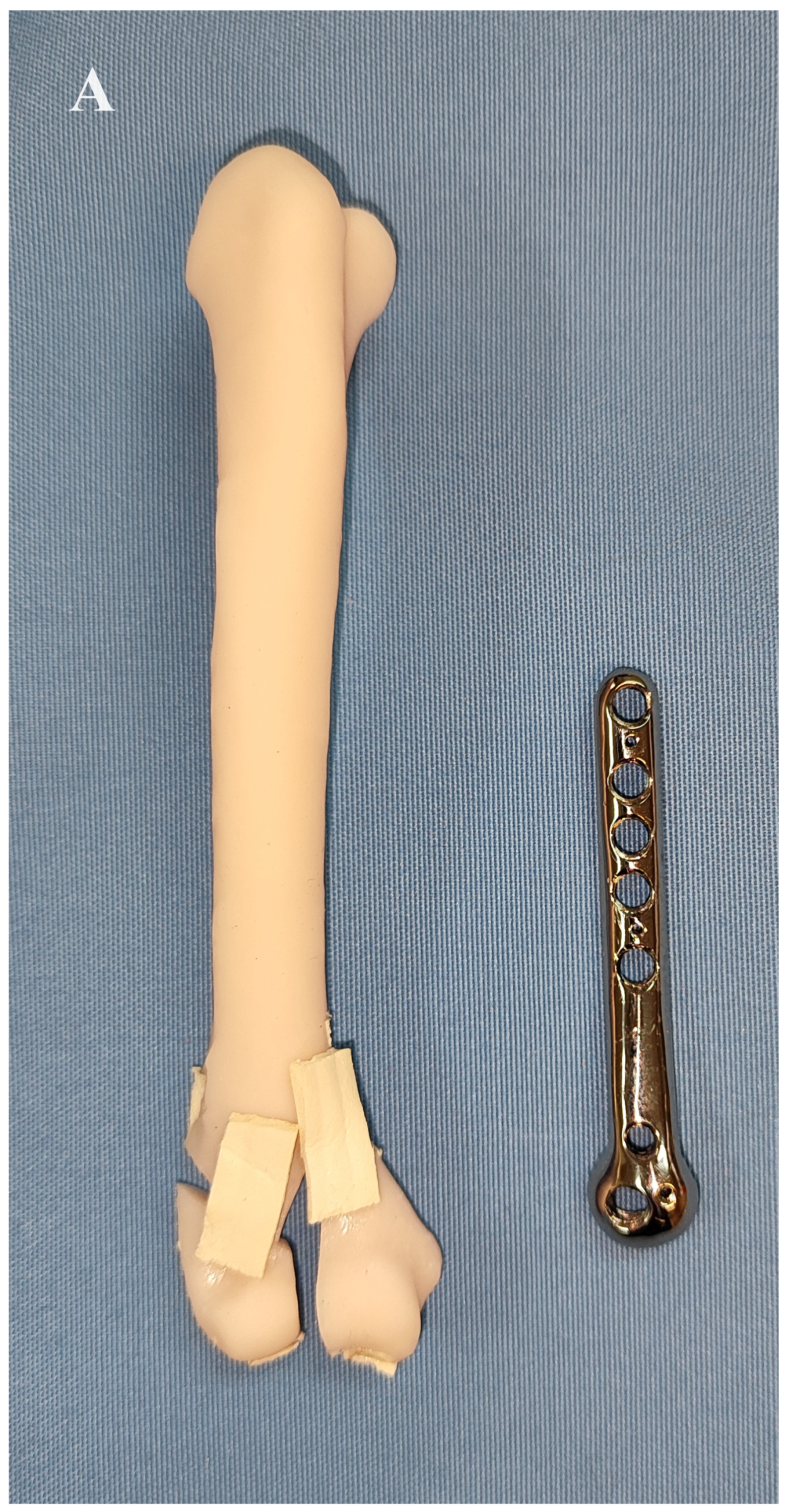 Animals 14 00537 g003a