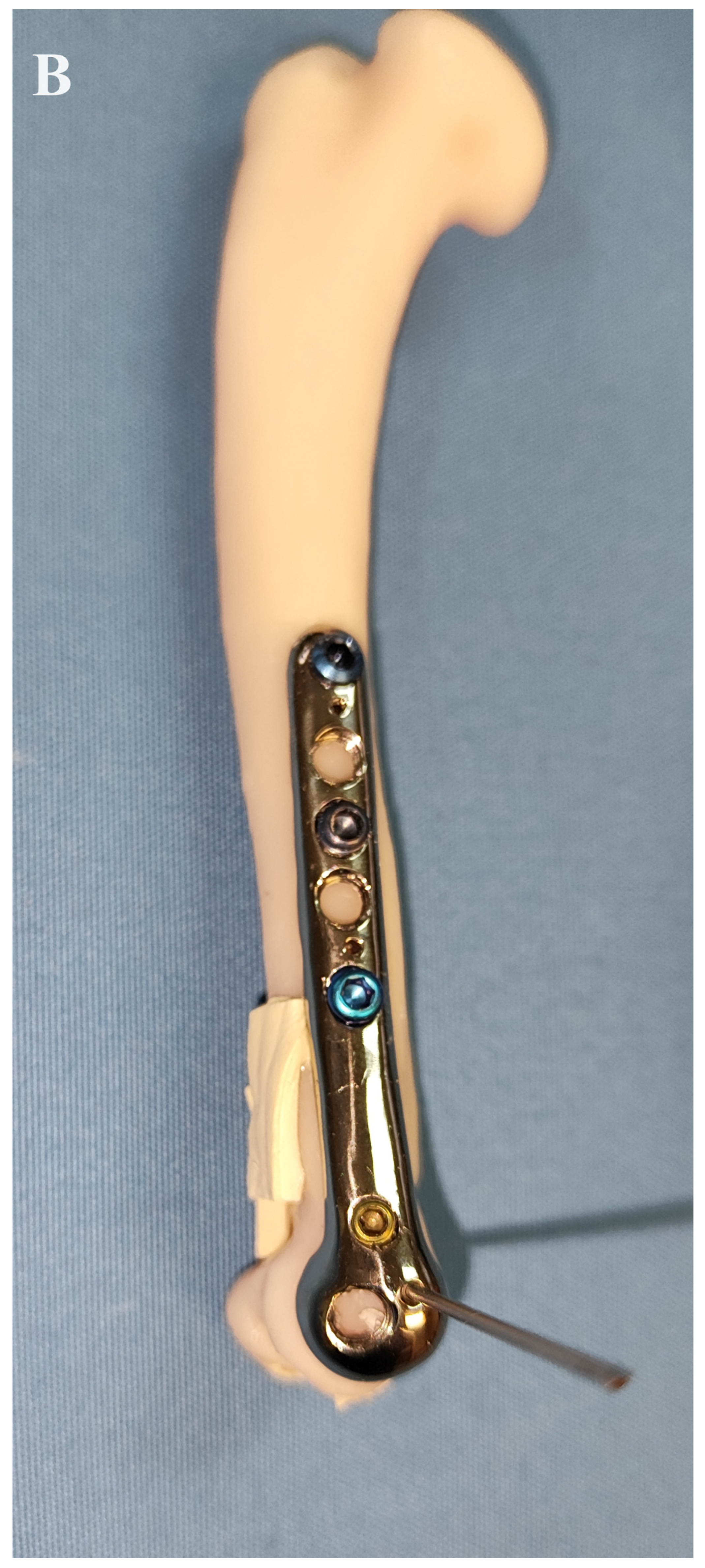 Animals 14 00537 g003b