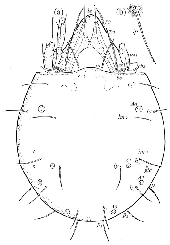 Animals 14 00538 g001