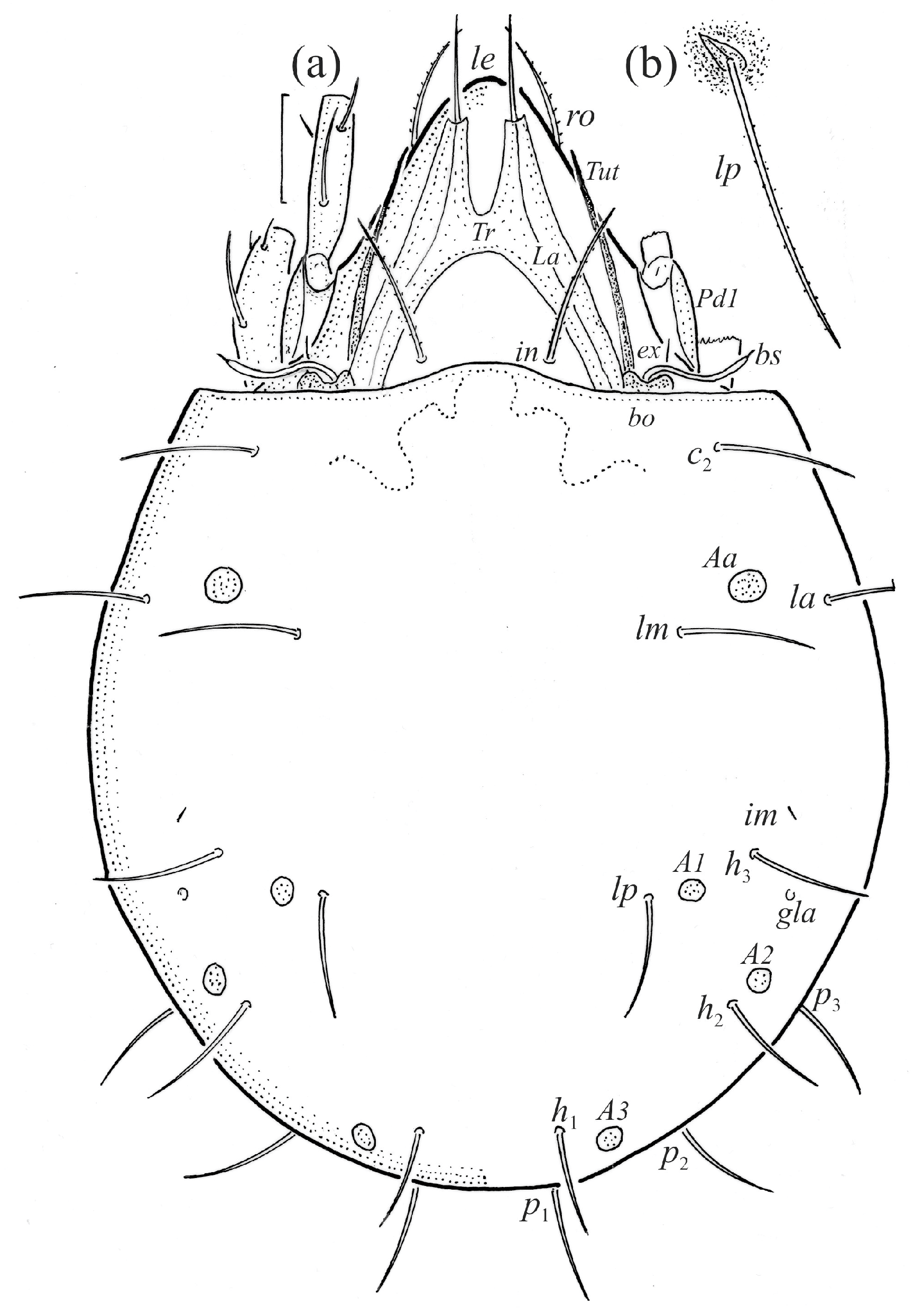 Animals 14 00538 g001 Animals 14 00538 g001
