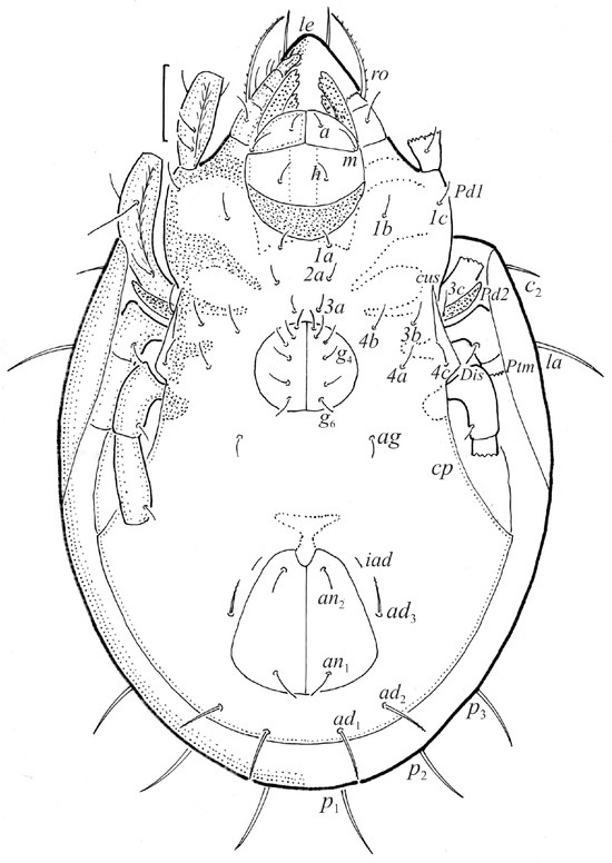 Animals 14 00538 g002