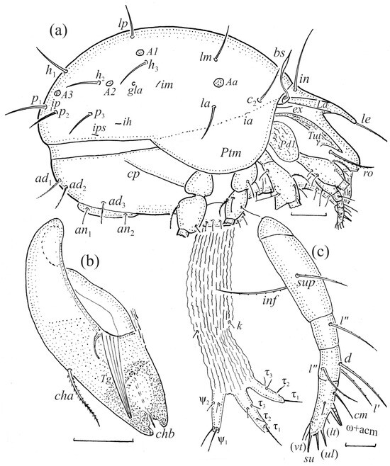 Animals 14 00538 g003