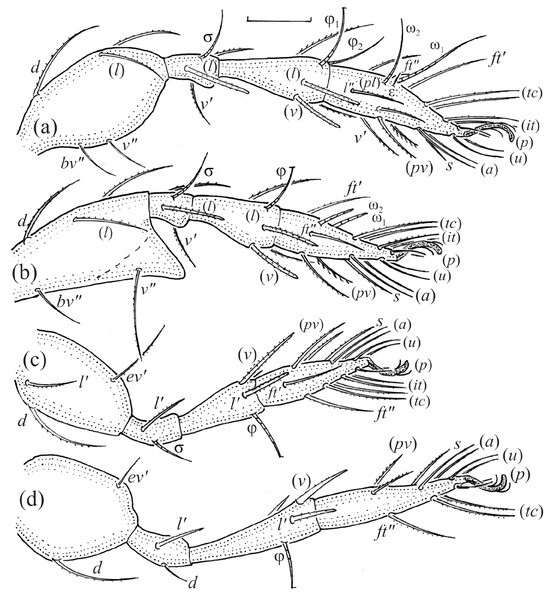 Animals 14 00538 g009