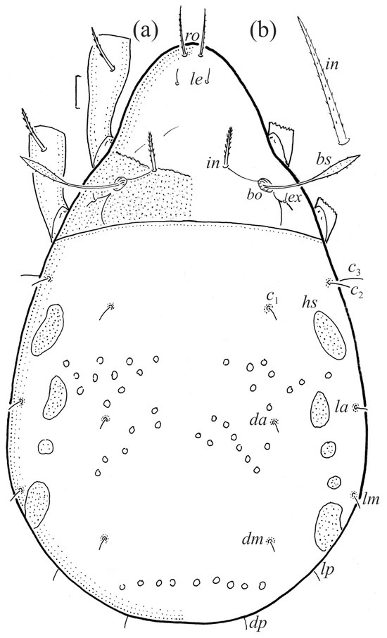 Animals 14 00538 g010