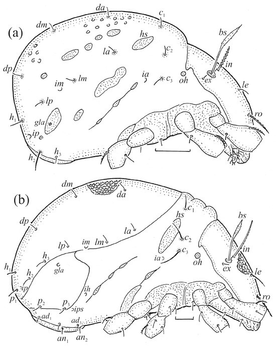 Animals 14 00538 g012