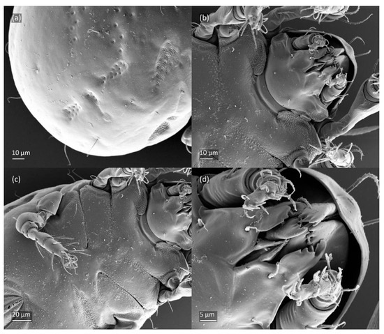 Animals 14 00538 g014